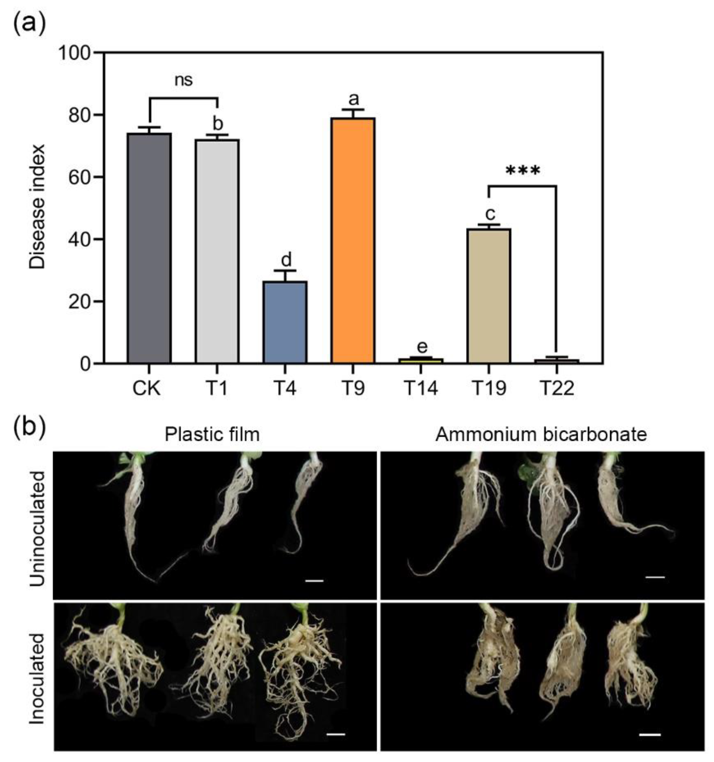 Integrated Management of Clubroot in Zhejiang Province, China