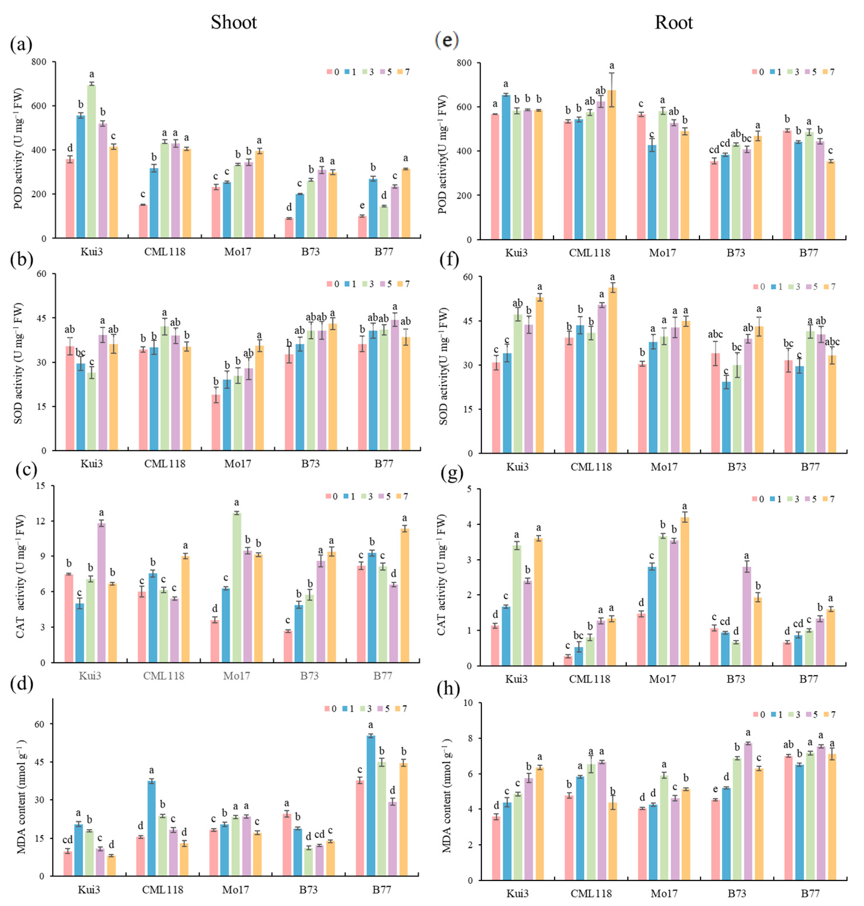 Agronomy 14 00379 g006