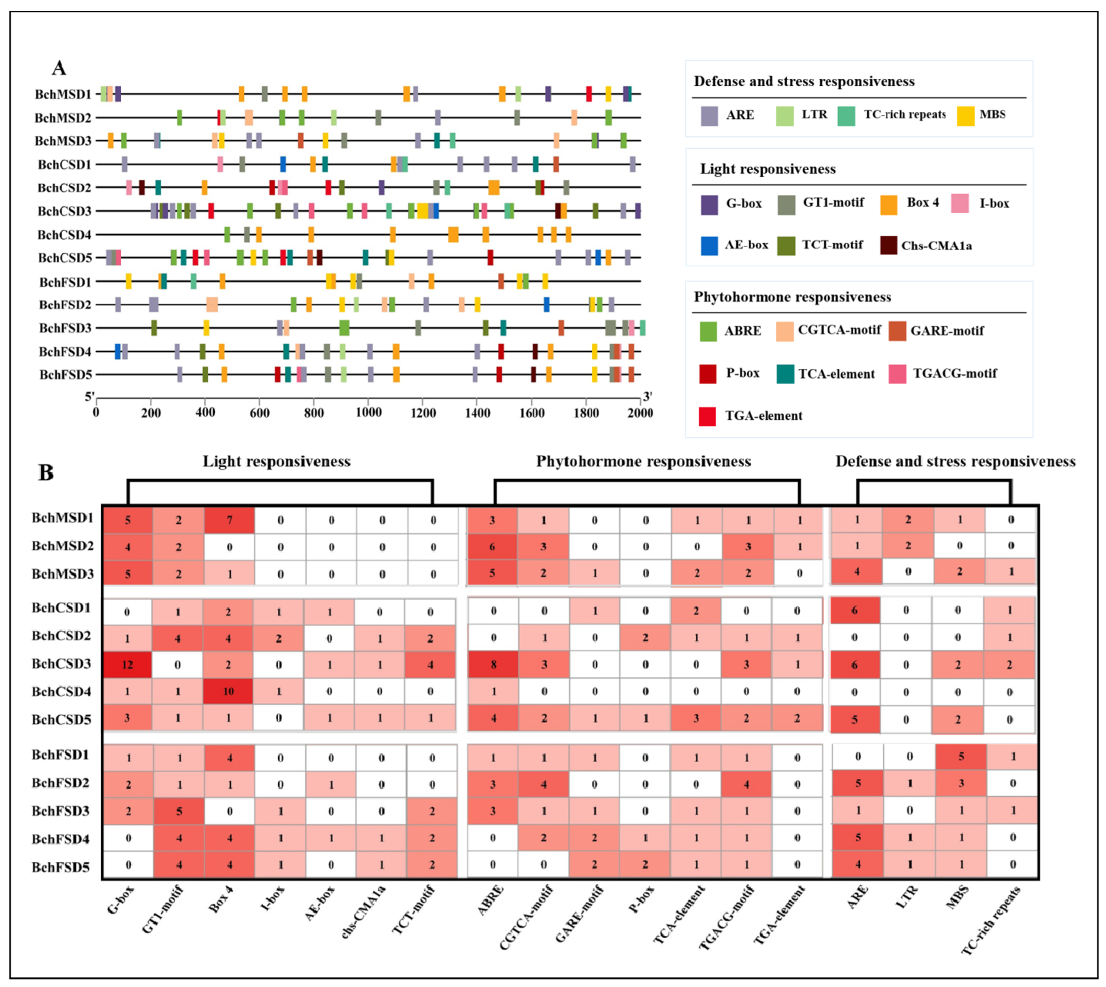 Agronomy 14 00384 g003