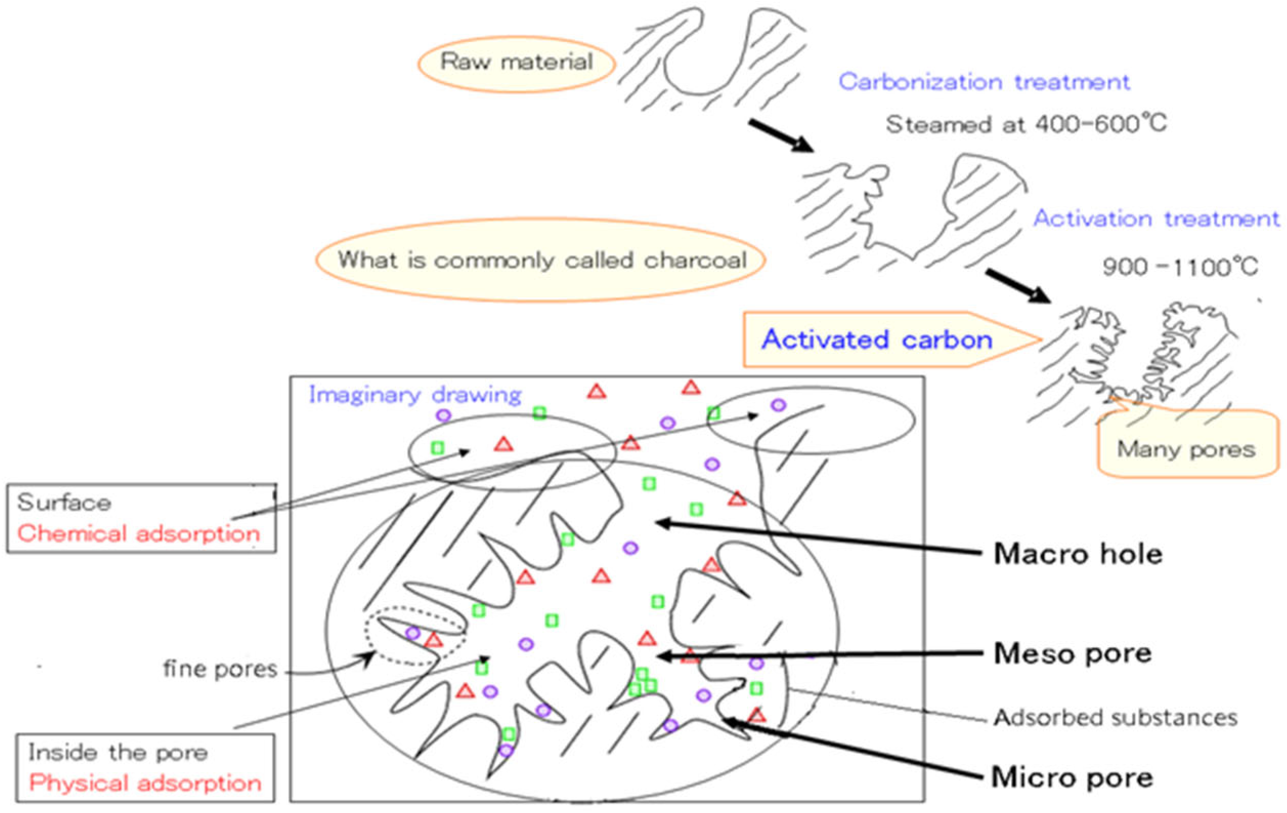 Agronomy 14 00385 g003