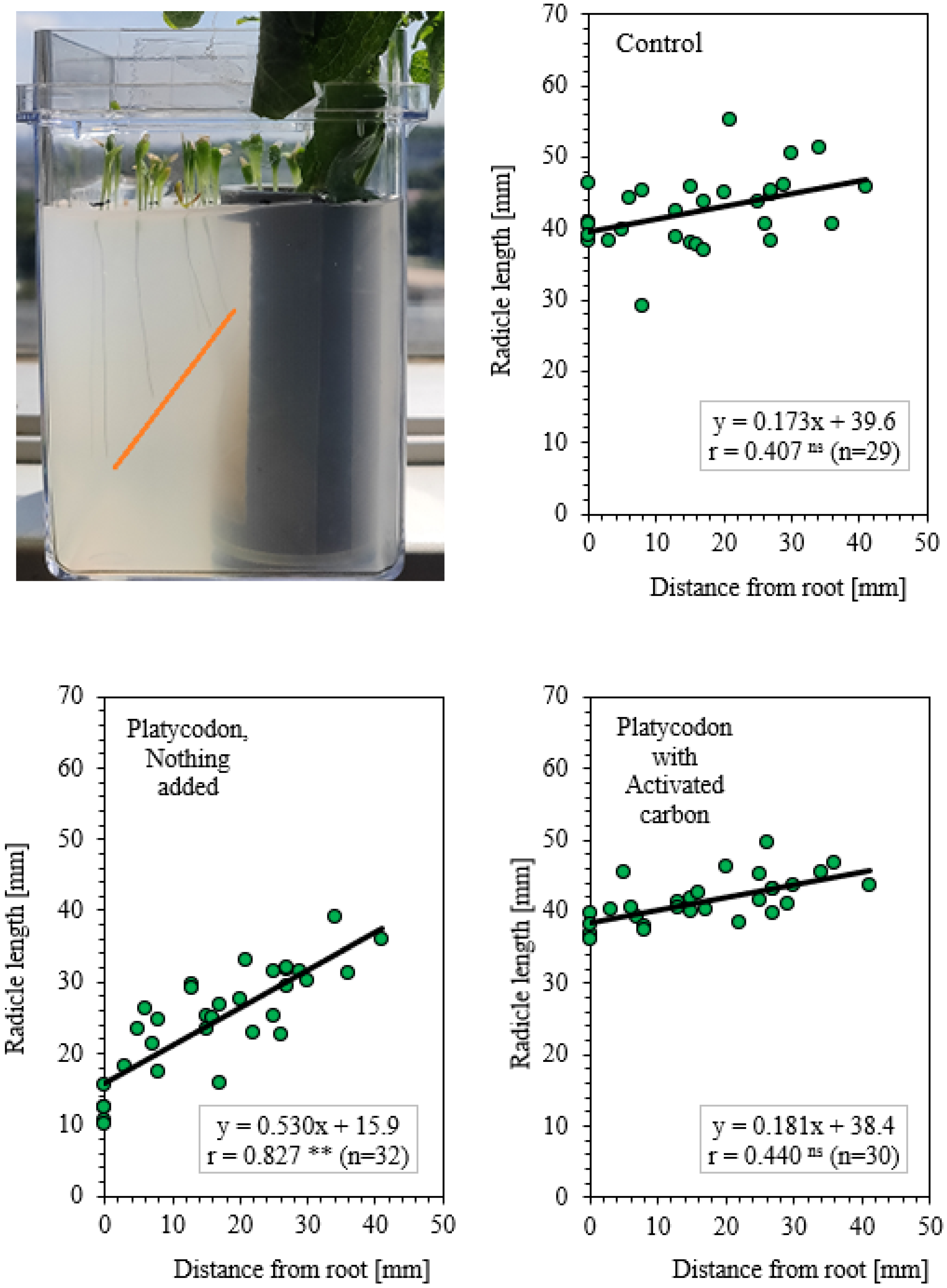 Agronomy 14 00385 g007