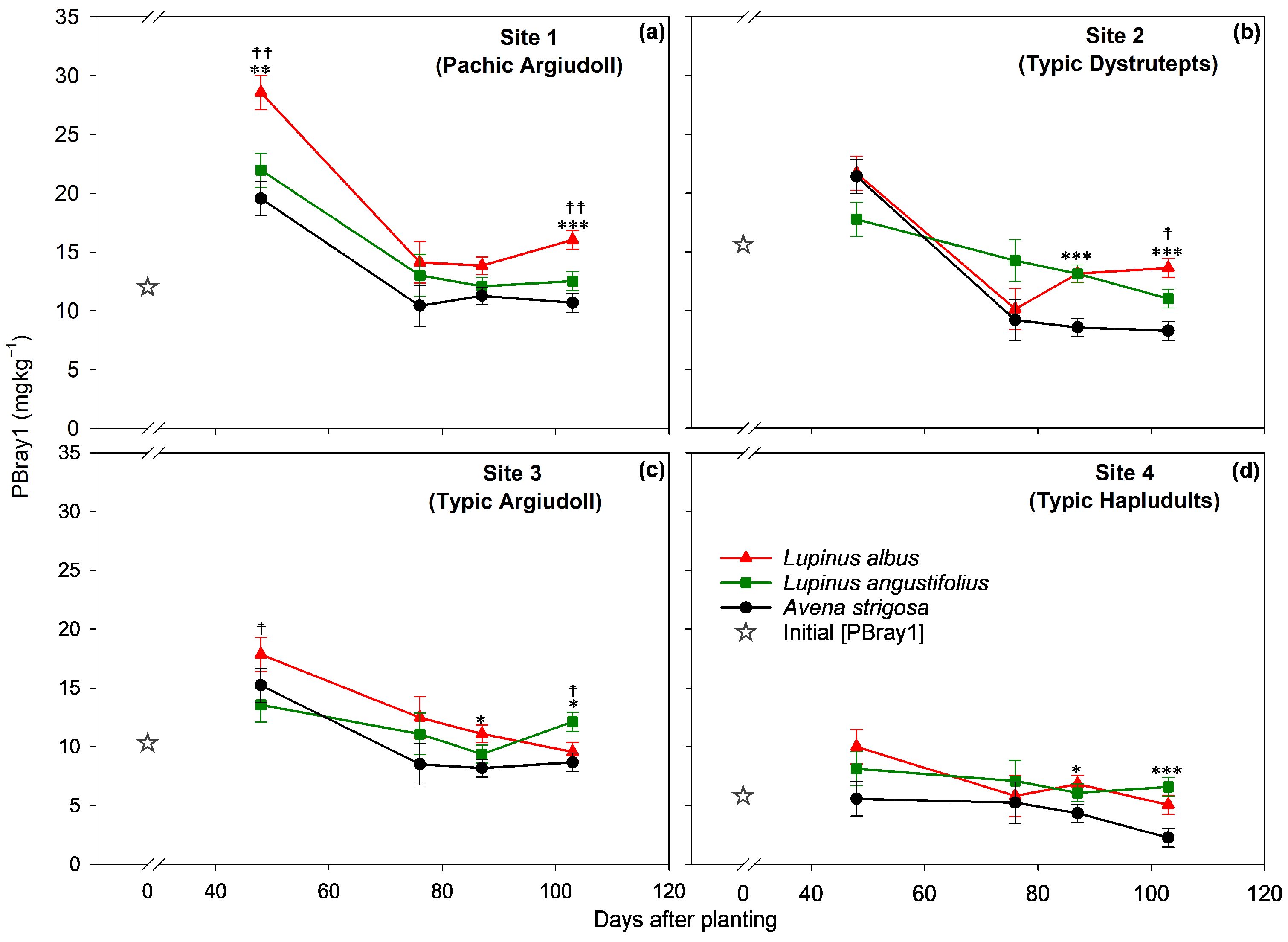 Agronomy 14 00389 g001