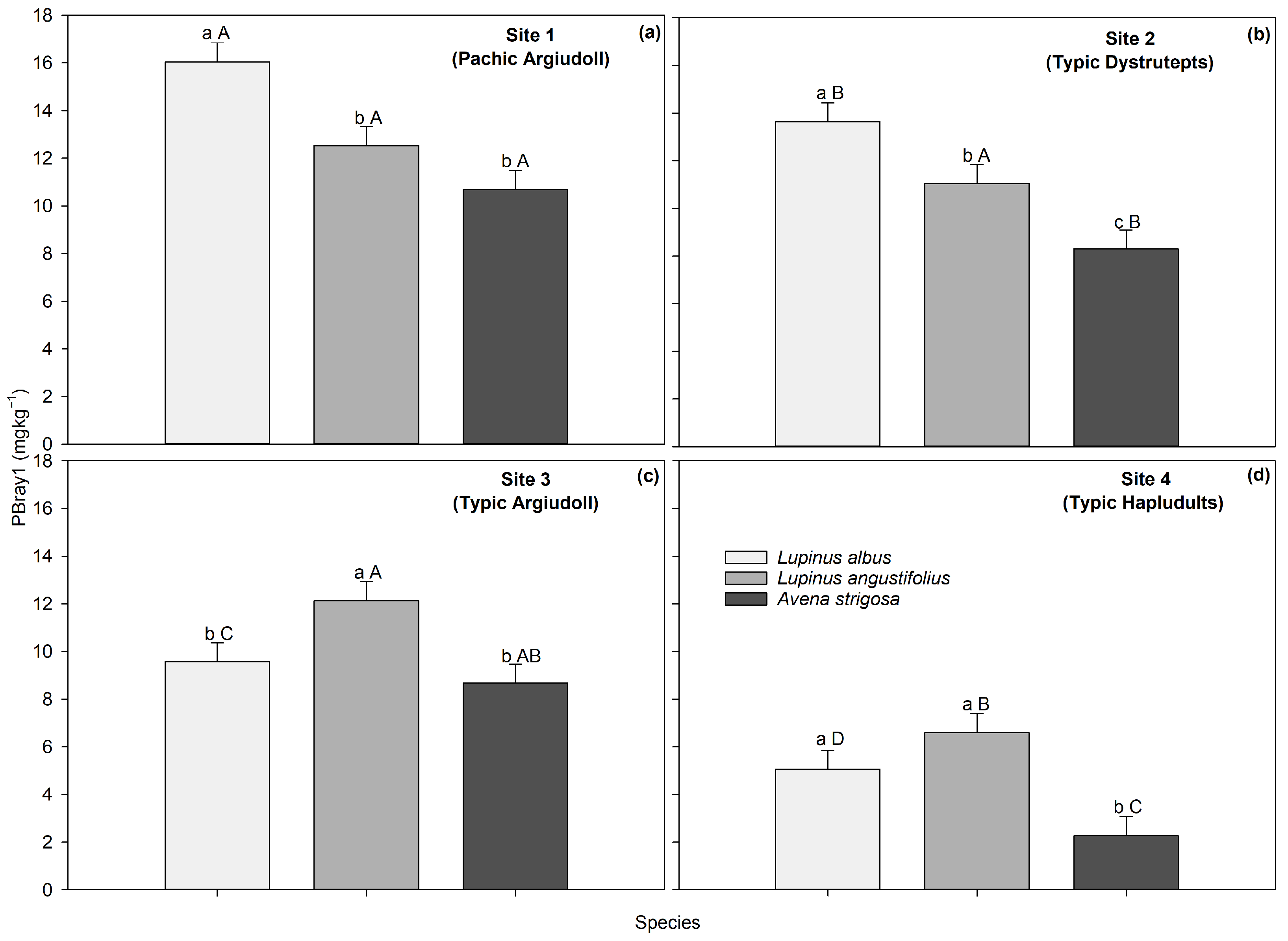 Agronomy 14 00389 g002