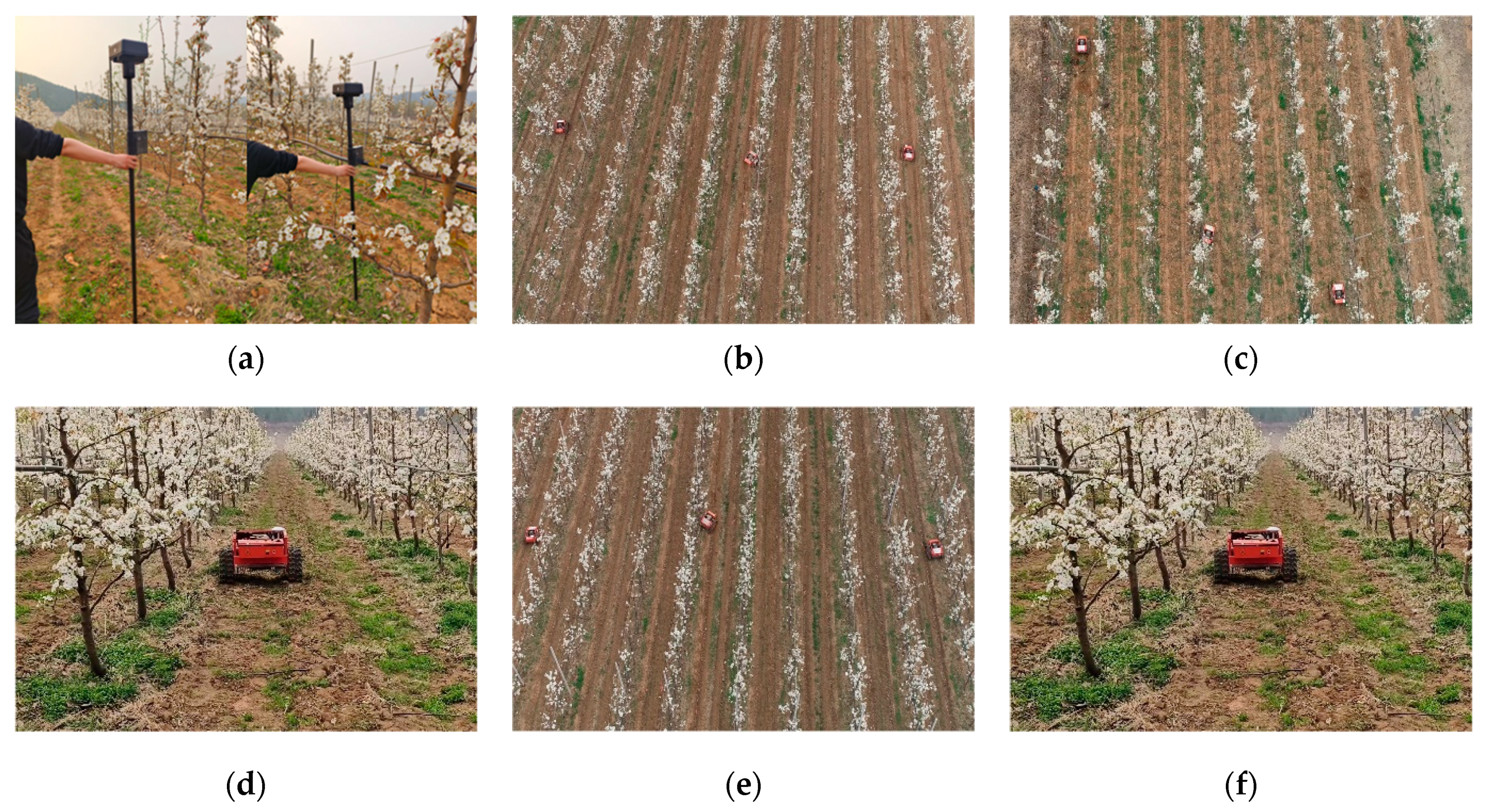 Agronomy 14 00391 g024