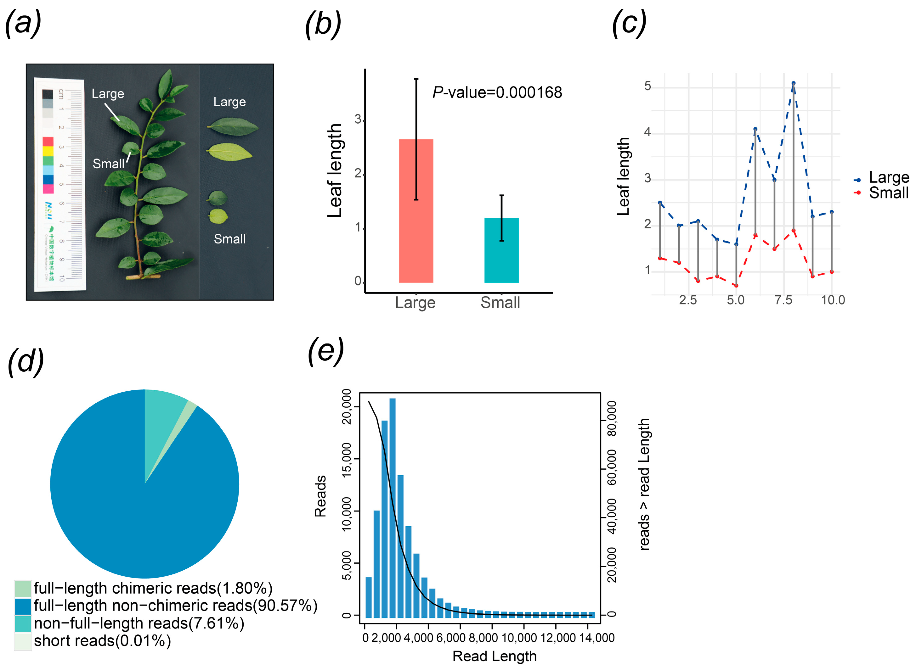 Agronomy 14 00396 g001 Agronomy 14 00396 g001