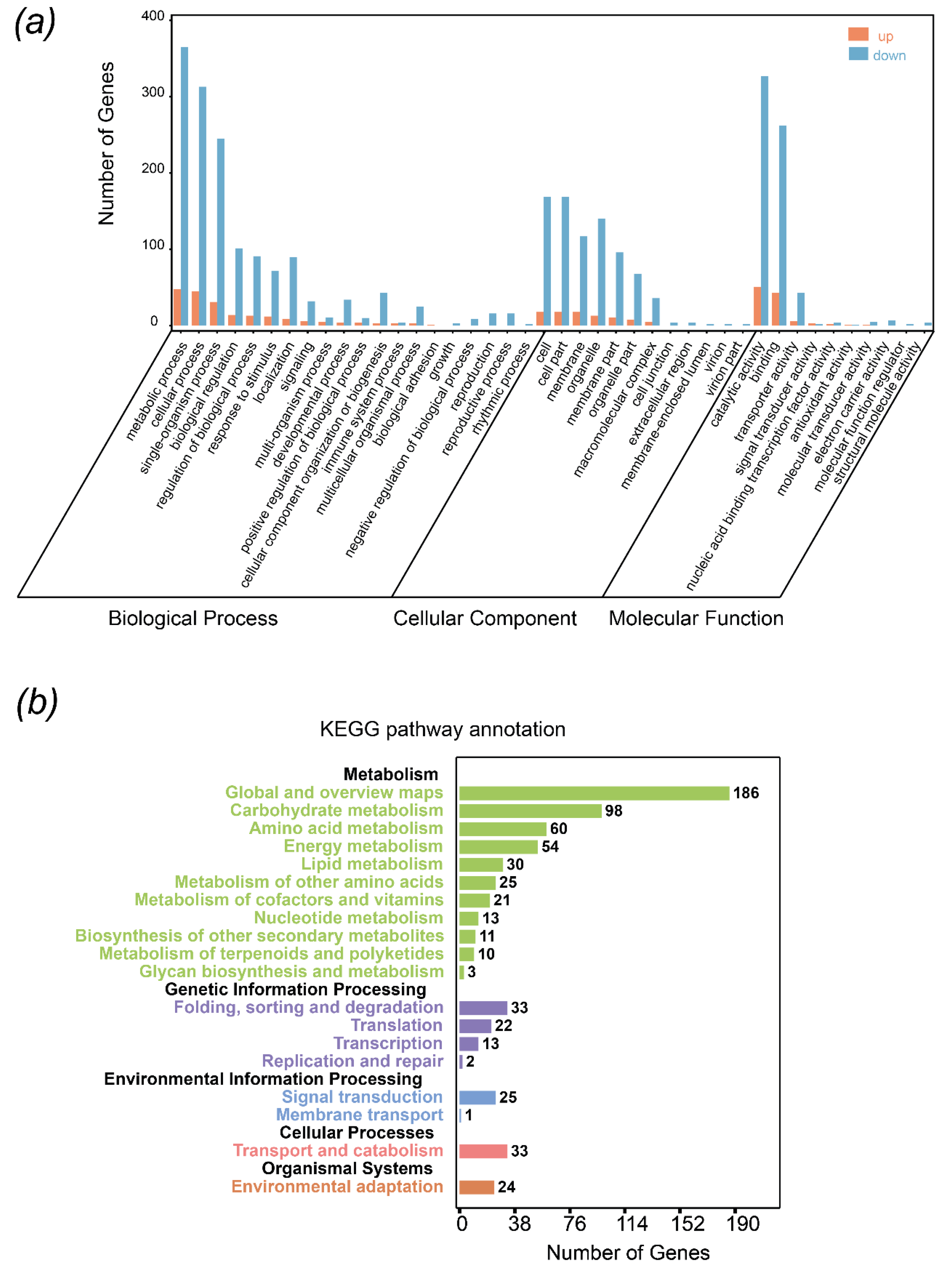 Agronomy 14 00396 g005 Agronomy 14 00396 g005