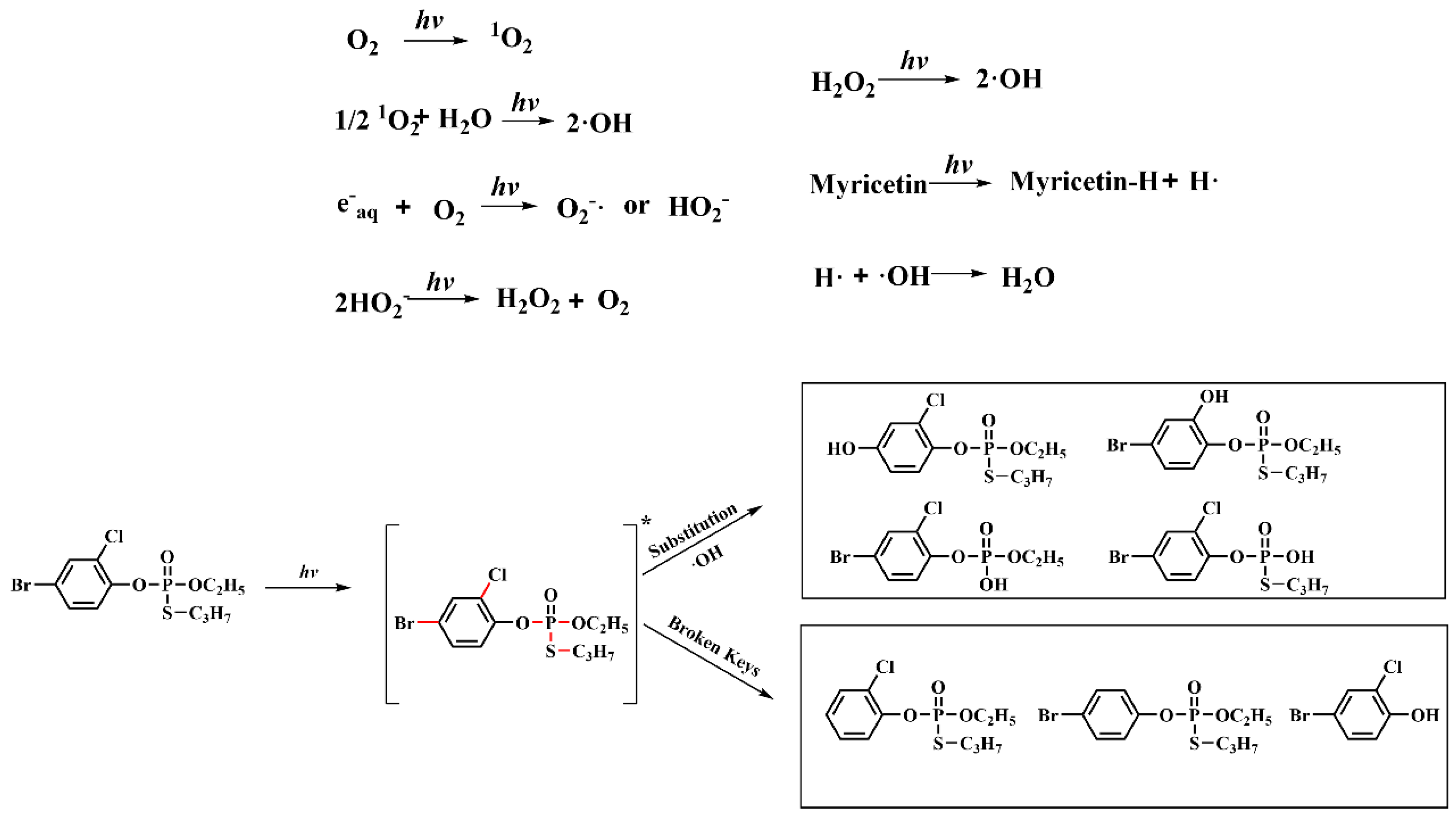 Agronomy 14 00399 g006