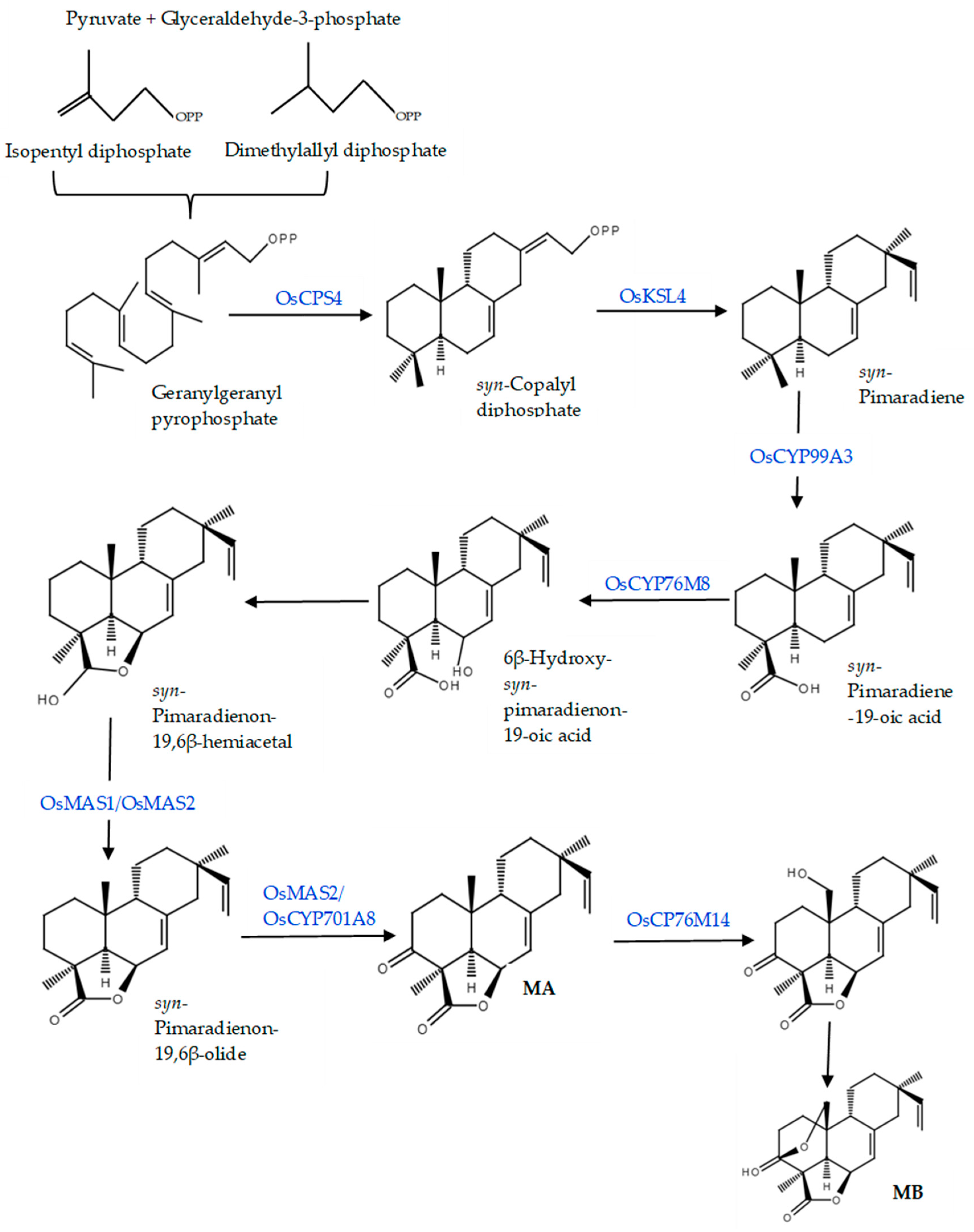 Agronomy 14 00405 g004 Agronomy 14 00405 g004