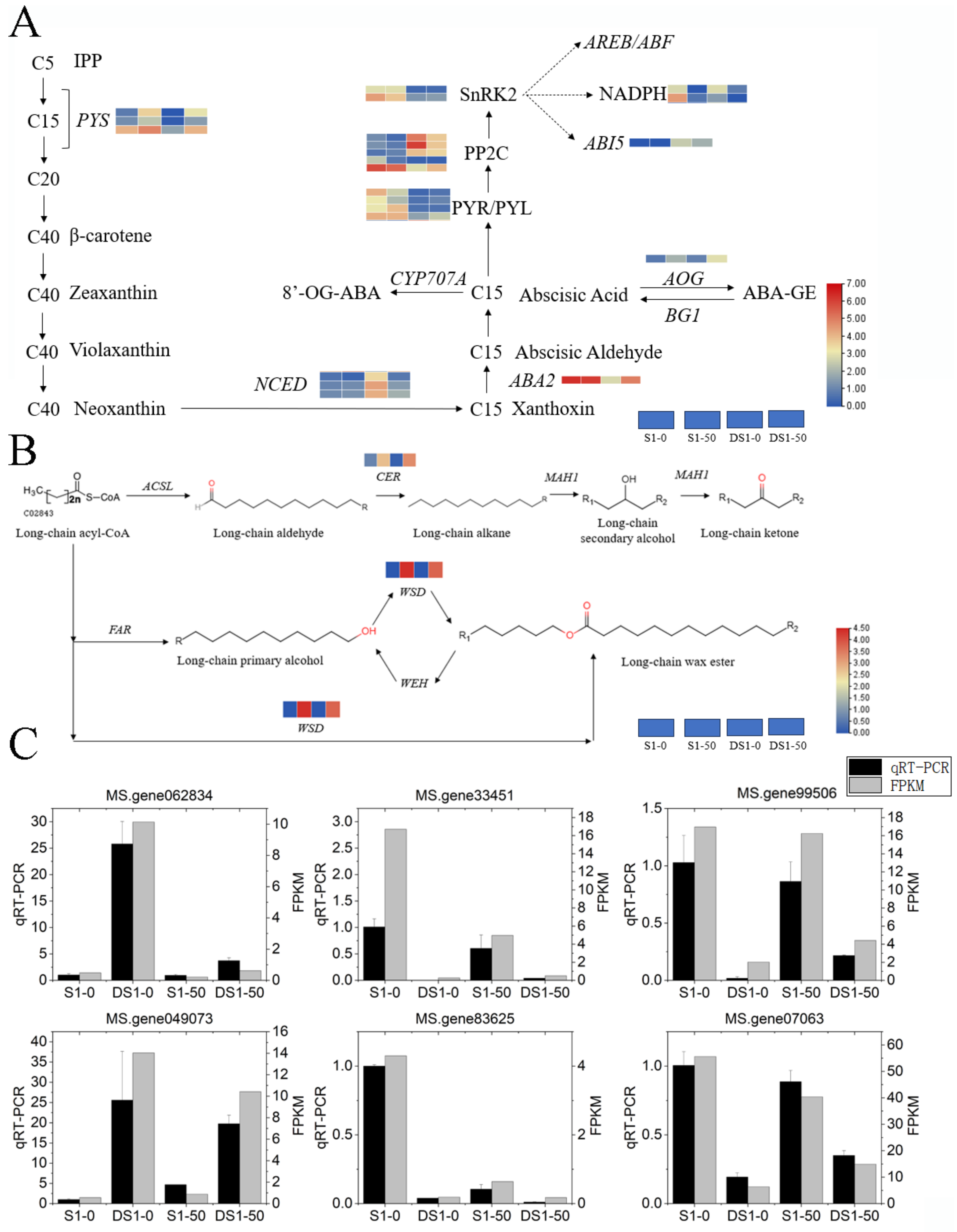 Agronomy 14 00406 g005