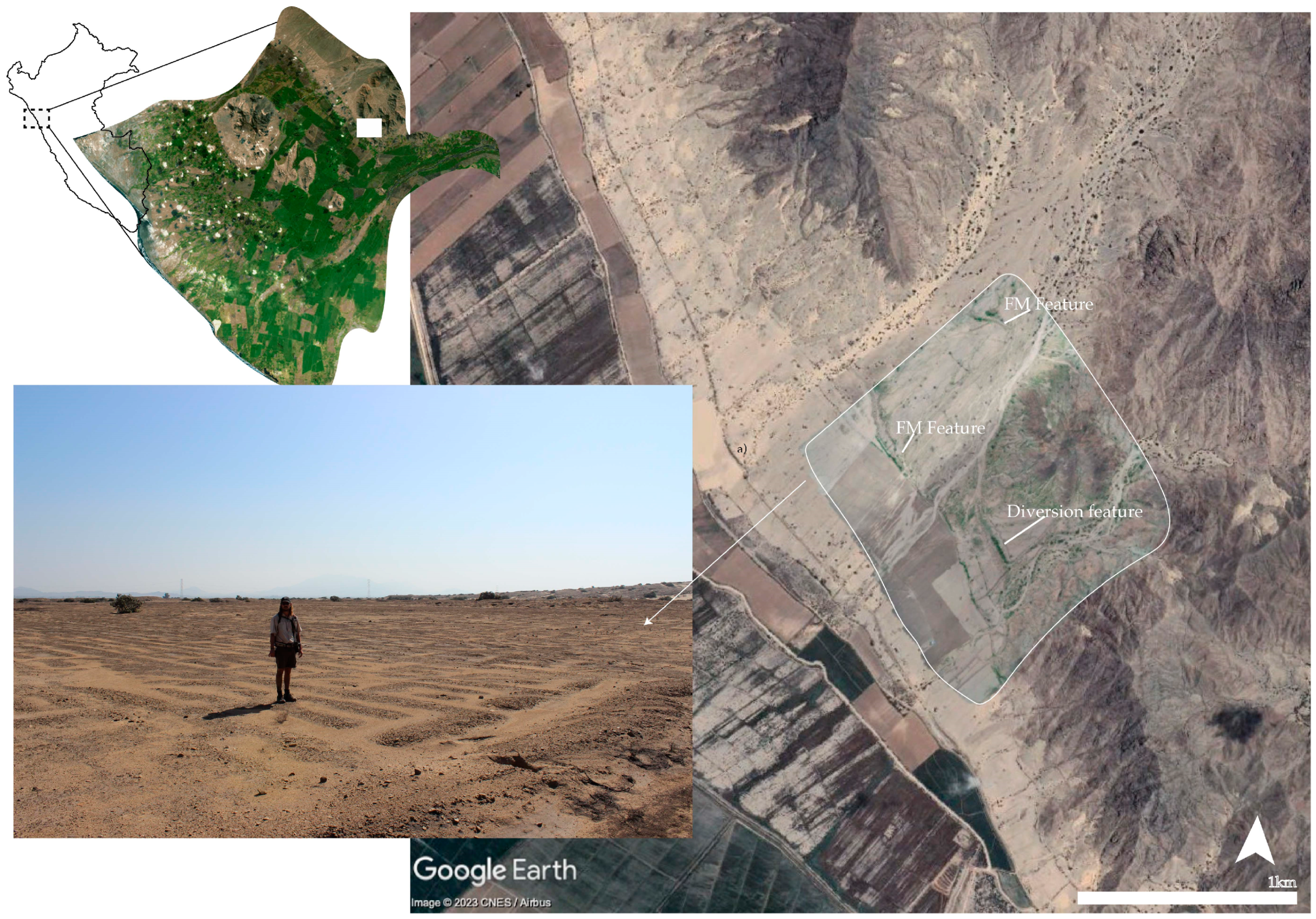 Agronomy 14 00407 g002