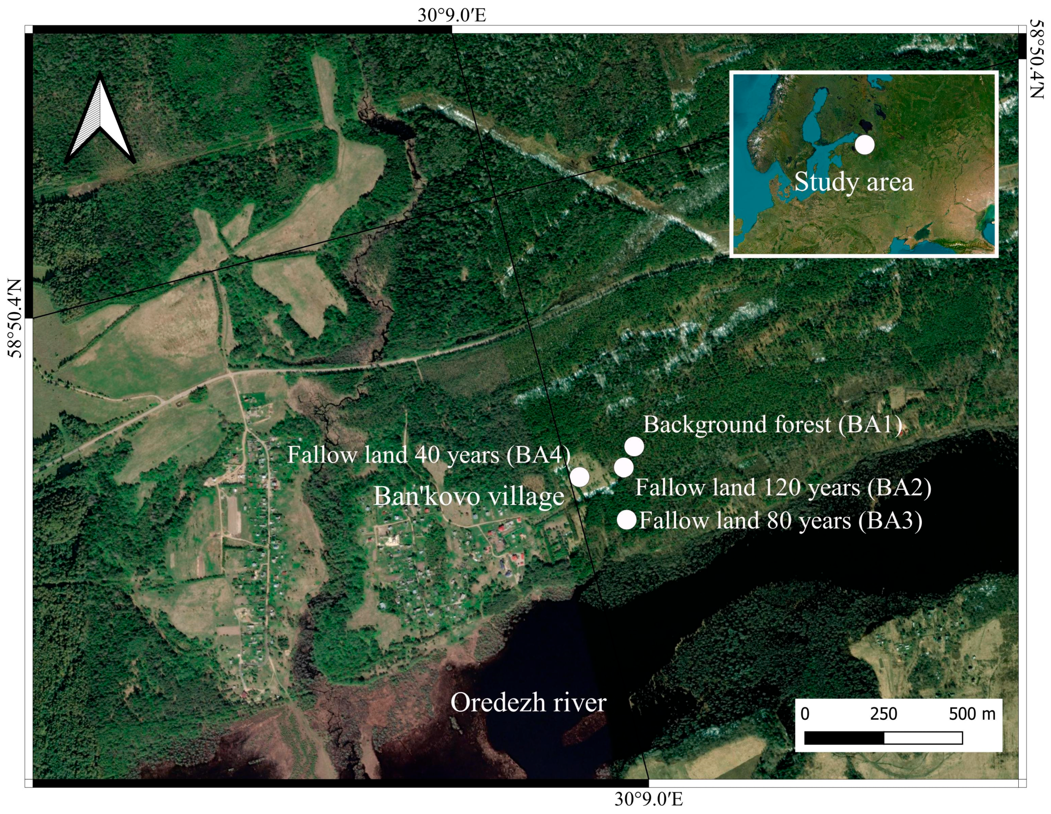 Agronomy 14 00429 g001