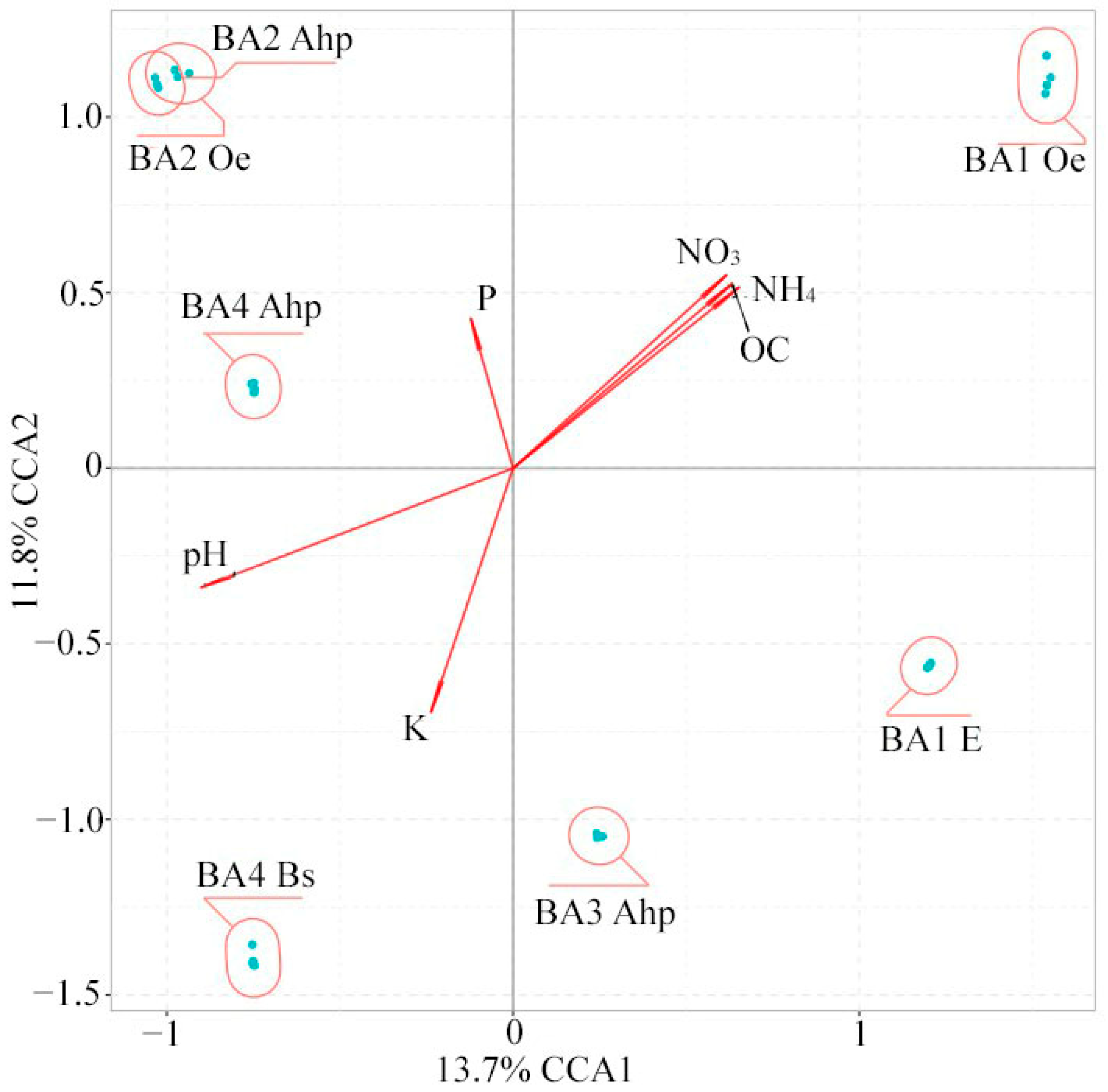 Agronomy 14 00429 g006