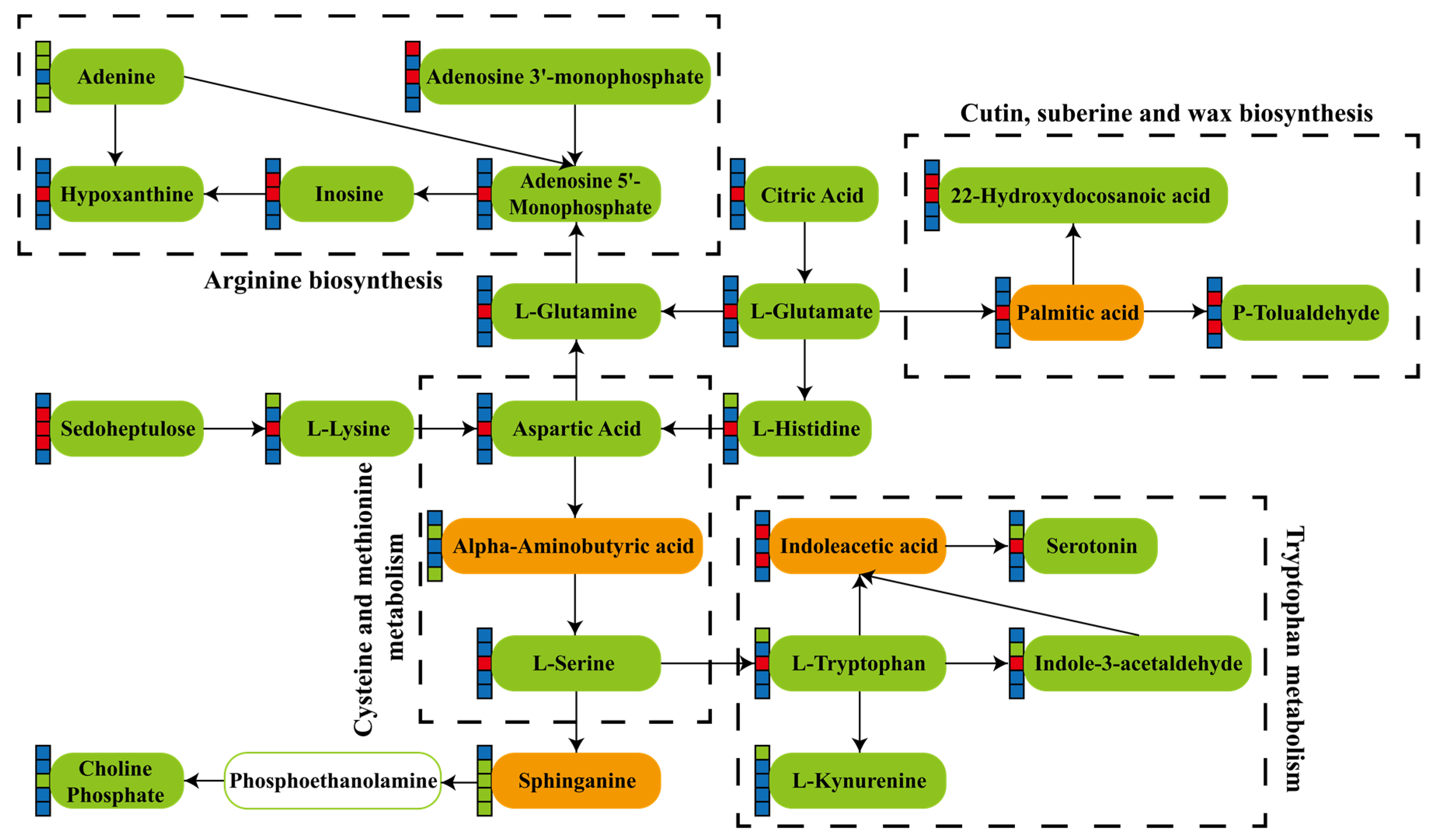 Agronomy 14 00430 g004