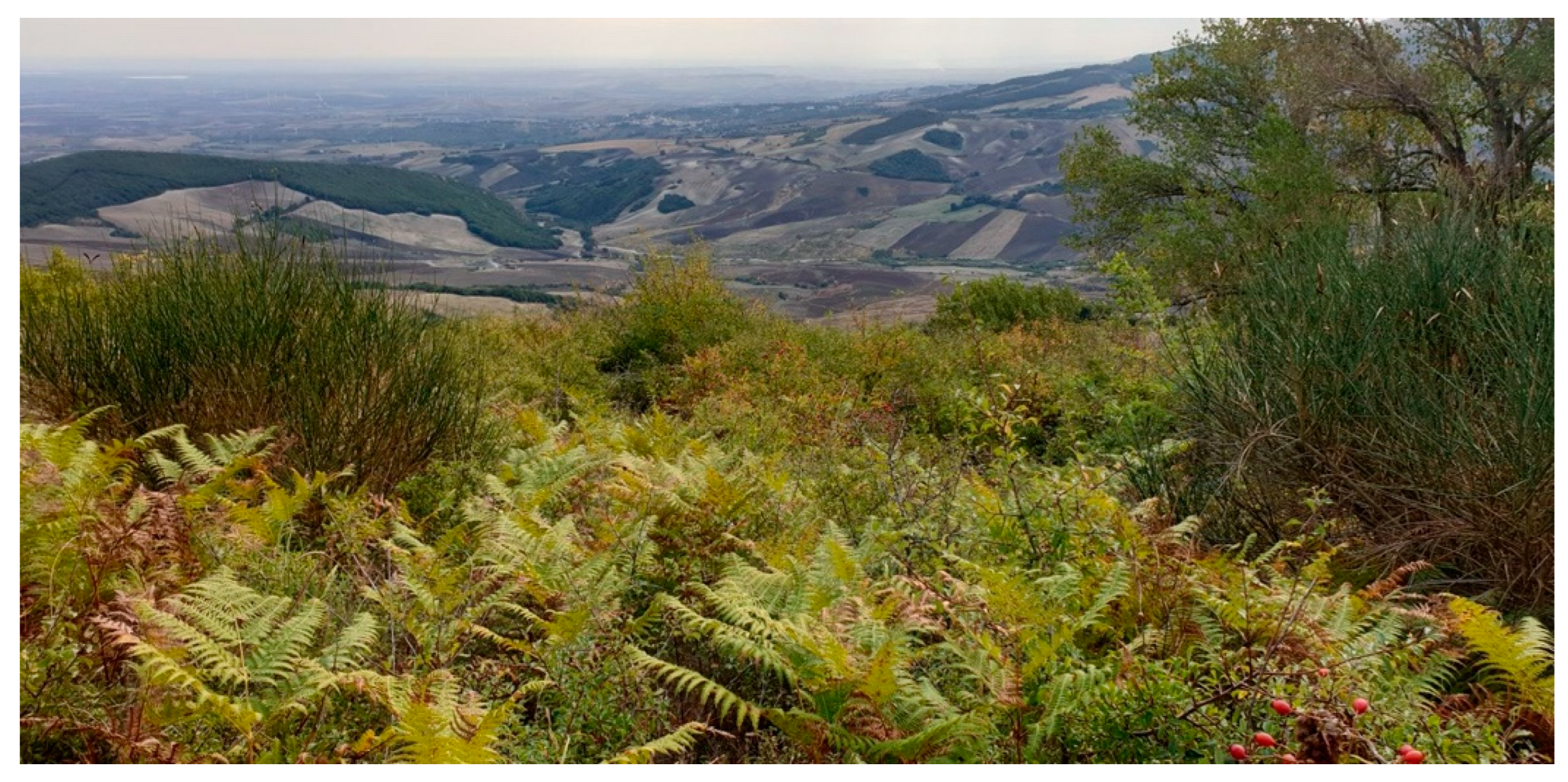 Agronomy 14 00431 g002