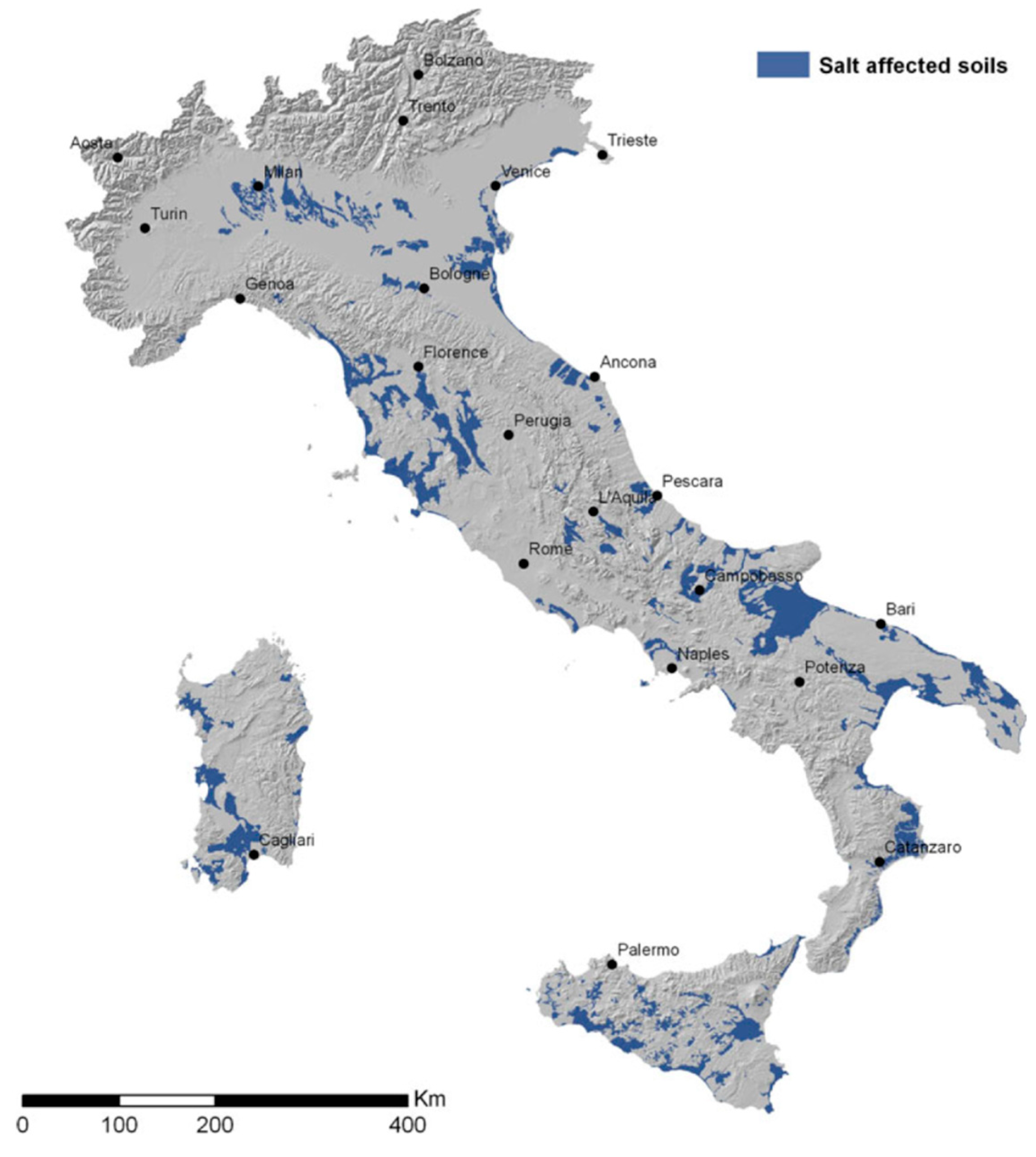 Agronomy 14 00431 g008