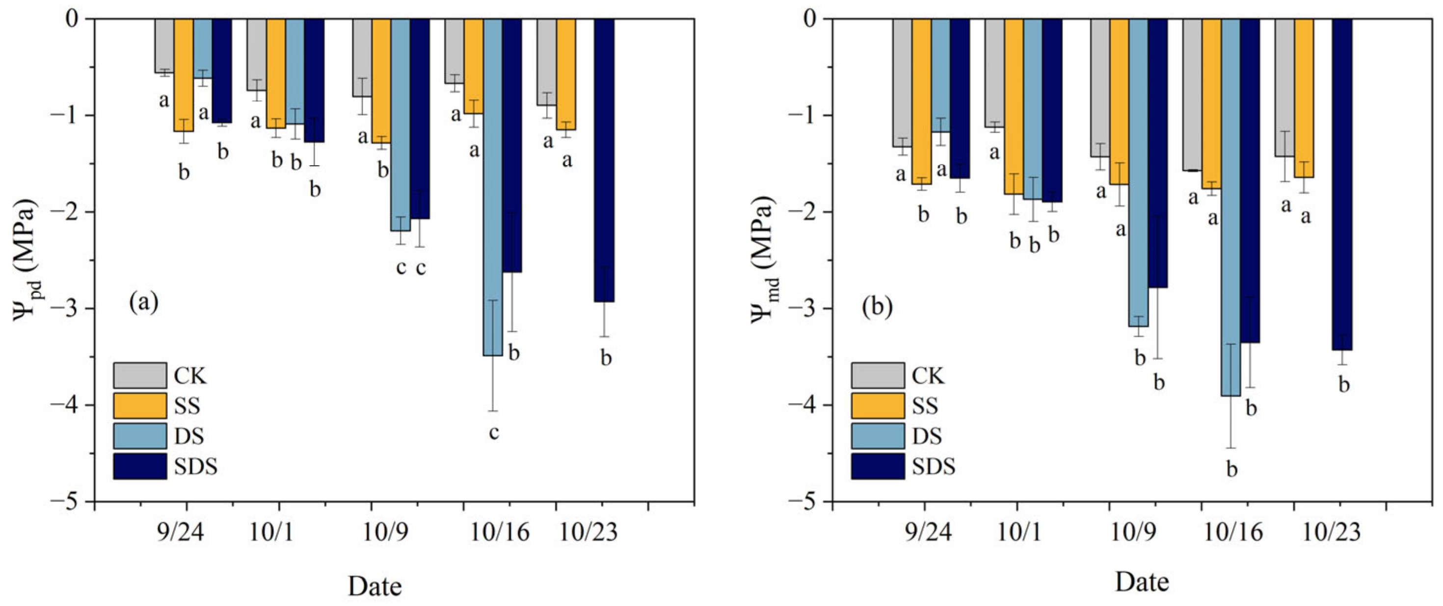 Agronomy 14 00439 g002 Agronomy 14 00439 g002
