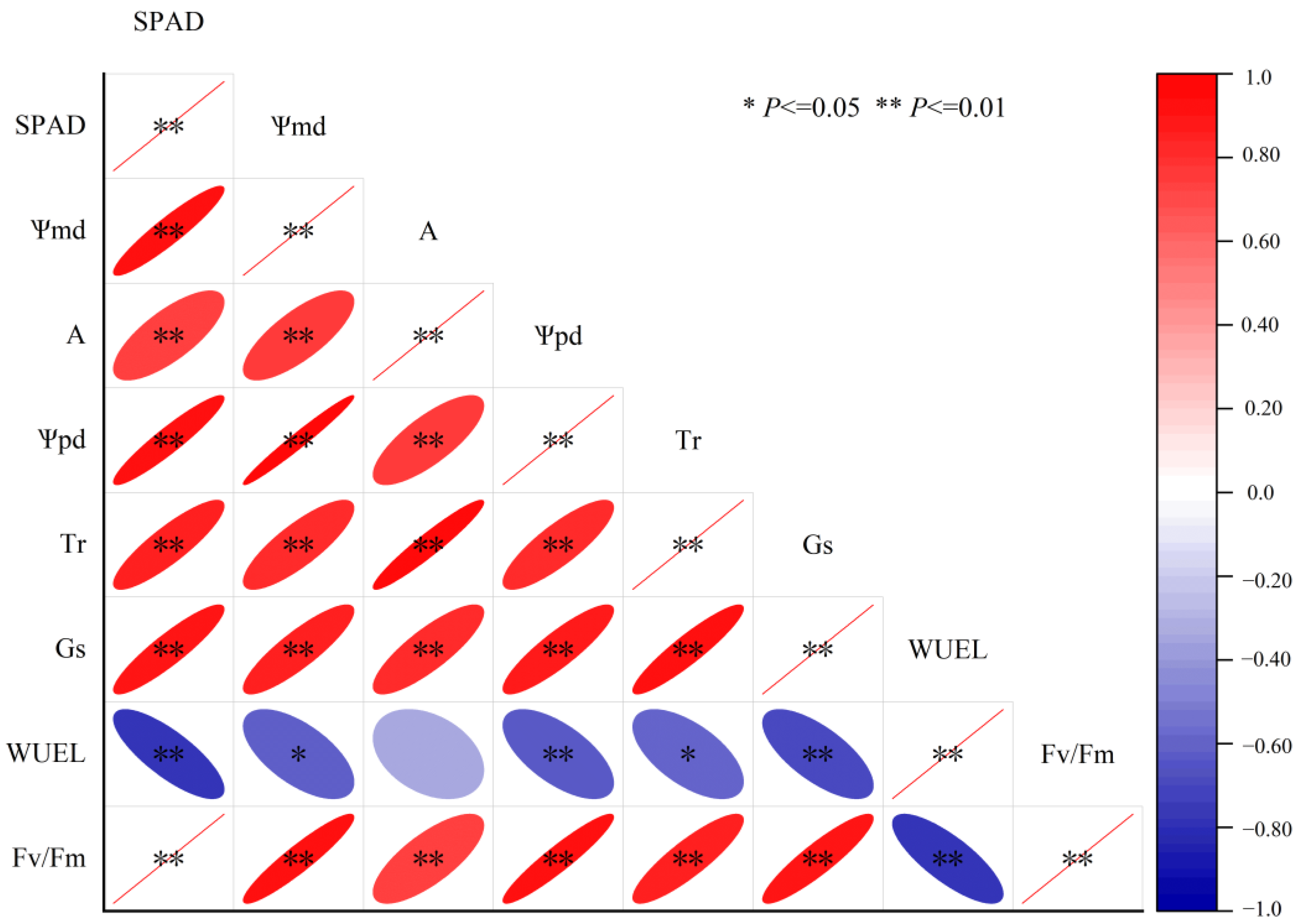 Agronomy 14 00439 g008 Agronomy 14 00439 g008