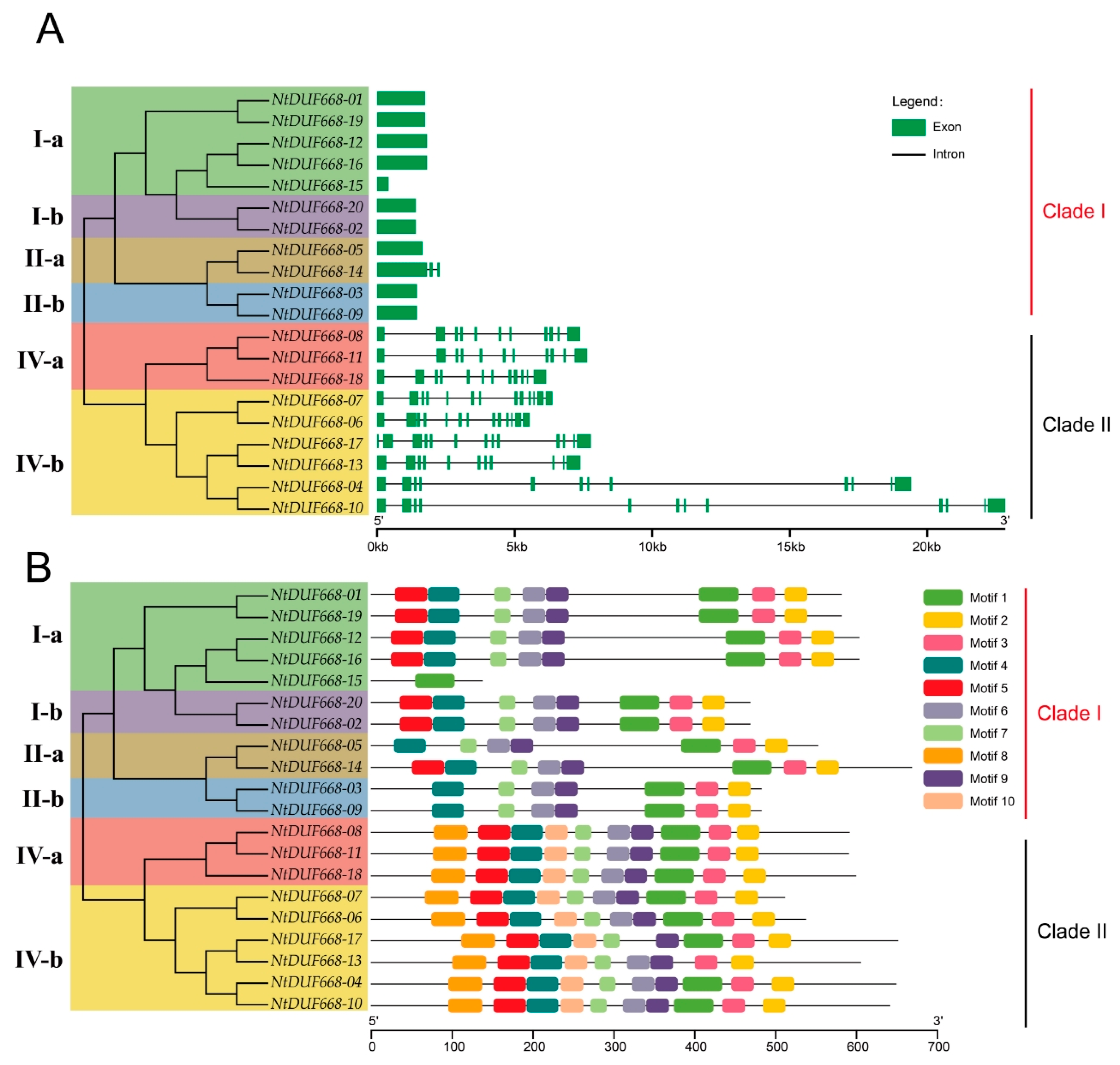 Agronomy 14 00445 g002