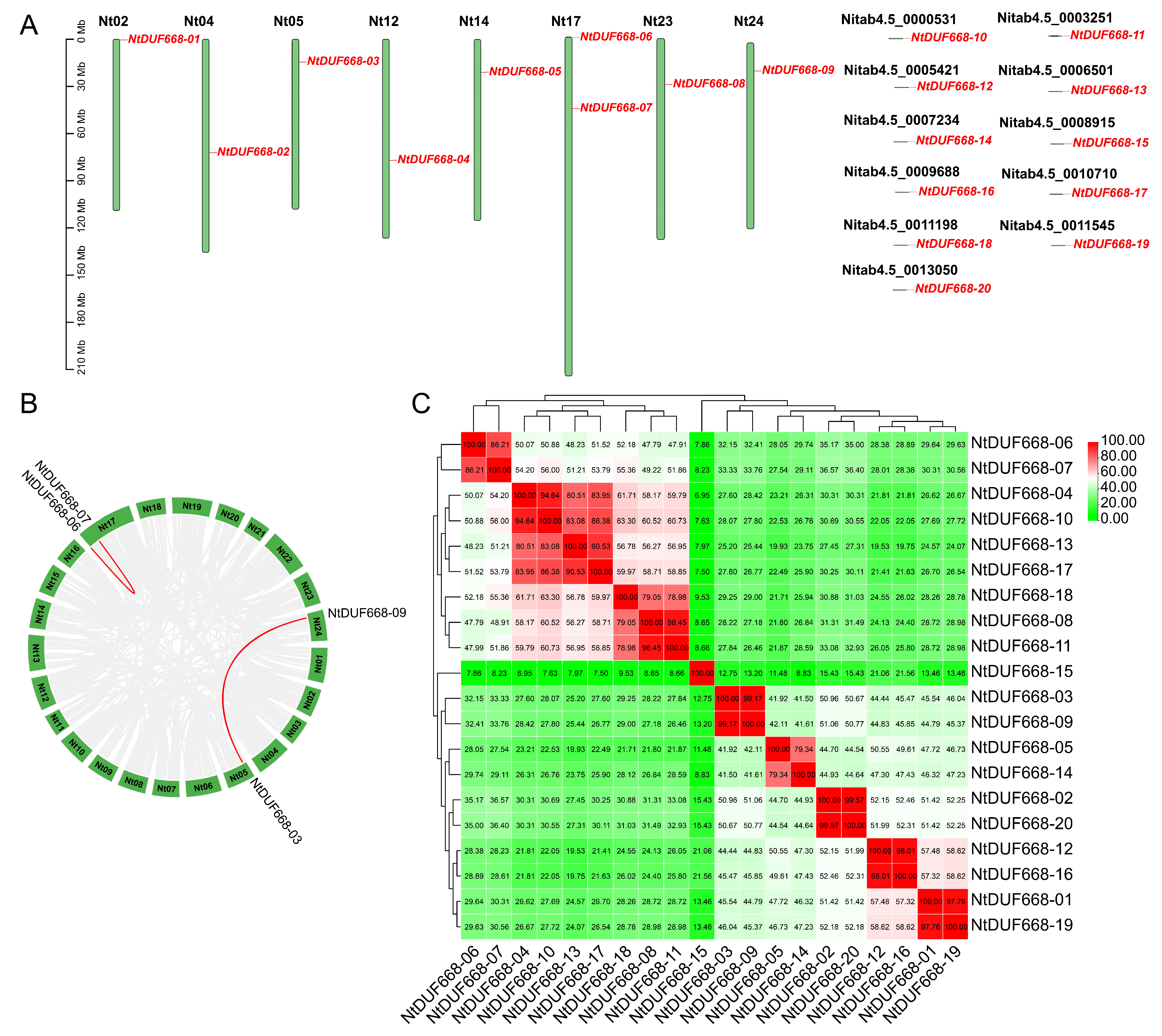Agronomy 14 00445 g004