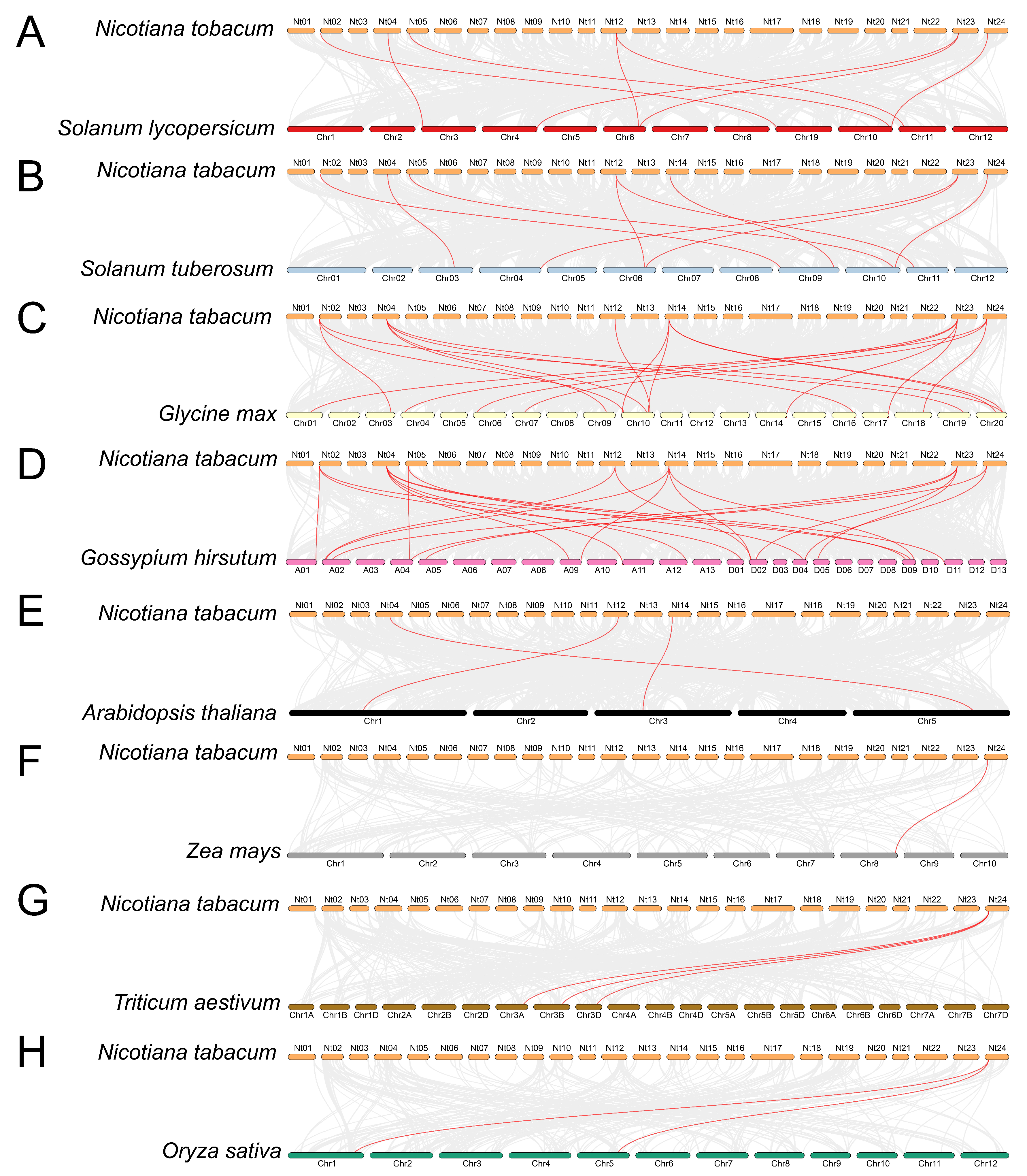 Agronomy 14 00445 g005