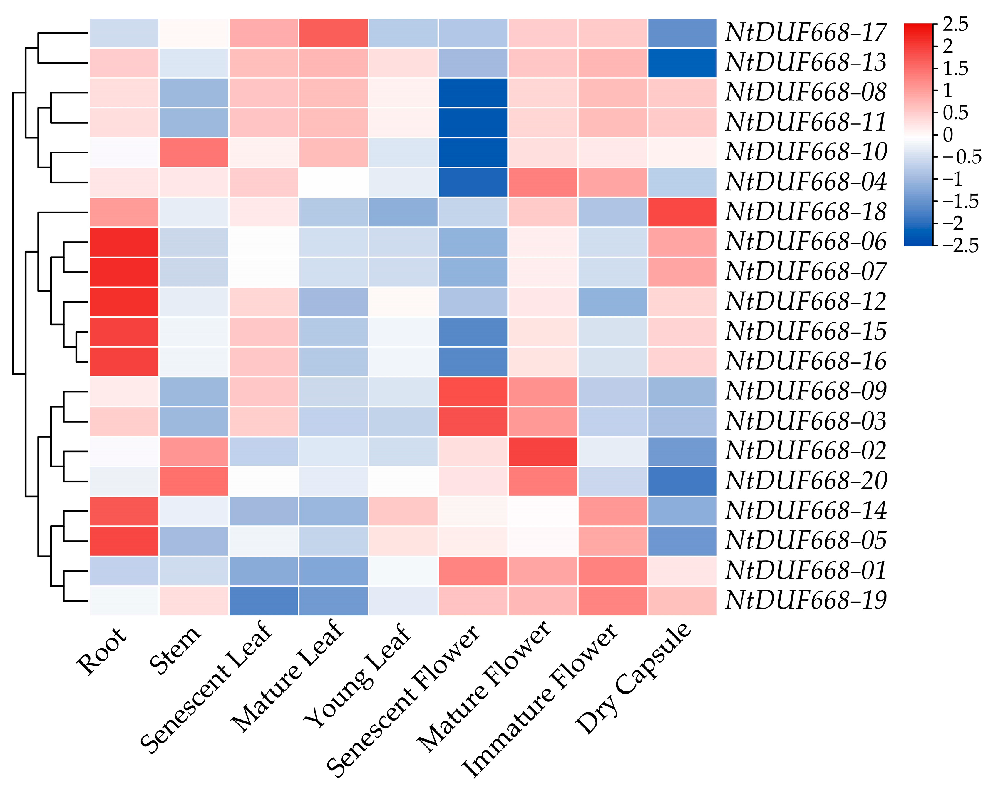 Agronomy 14 00445 g006