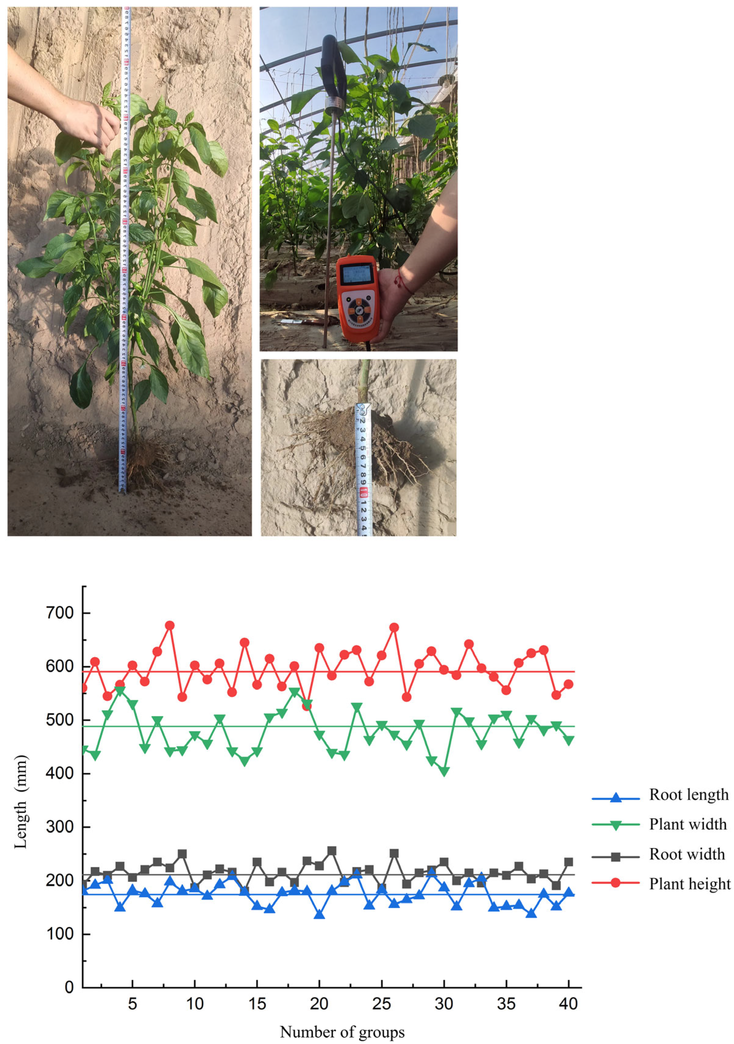 Agronomy 14 00446 g001