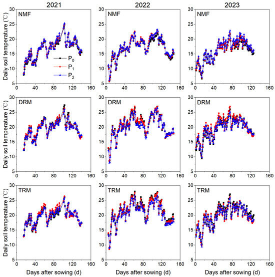 Enhancing Faba Bean Yields in Alpine Agricultural Regions