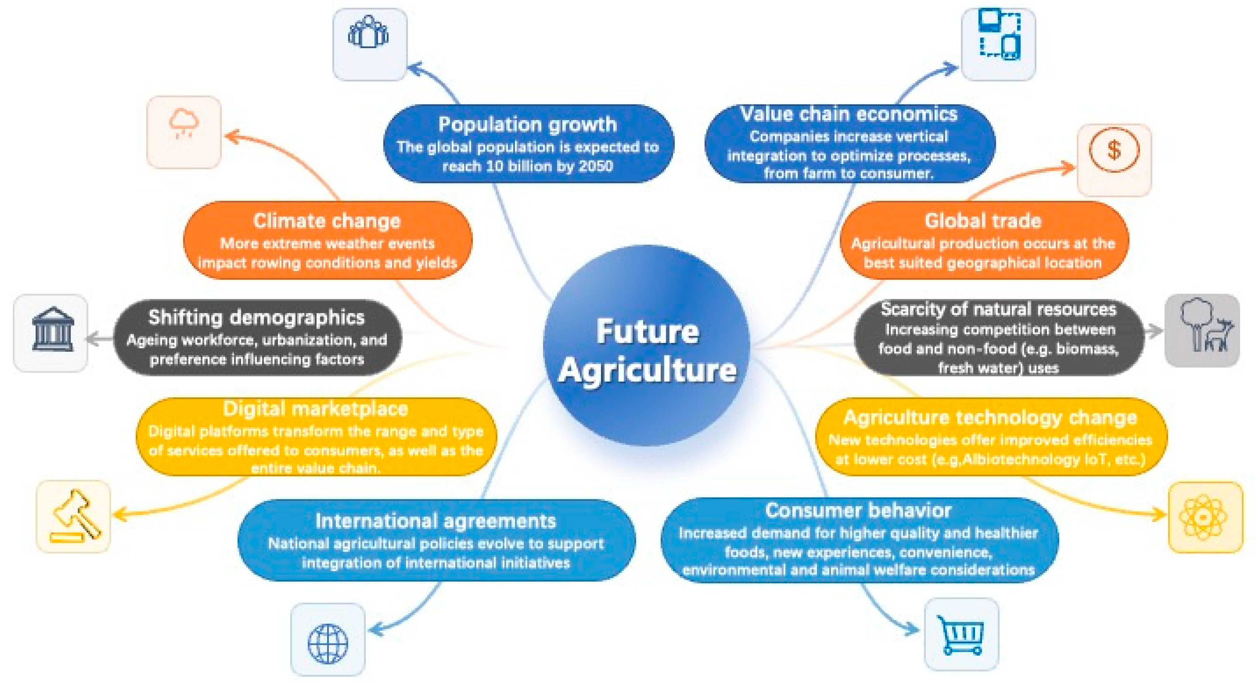 Agronomy 14 00452 g001