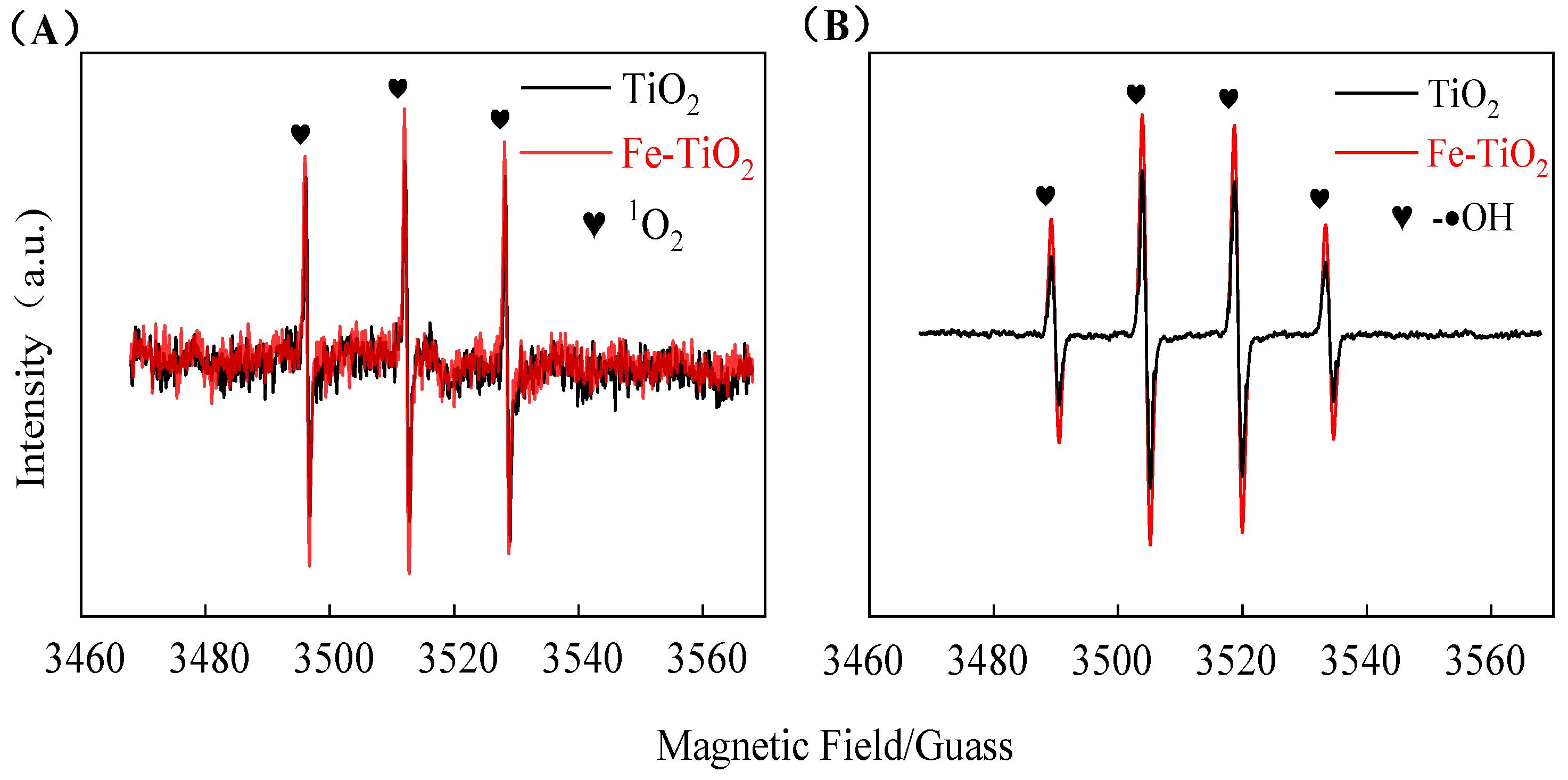 Agronomy 14 00461 g005