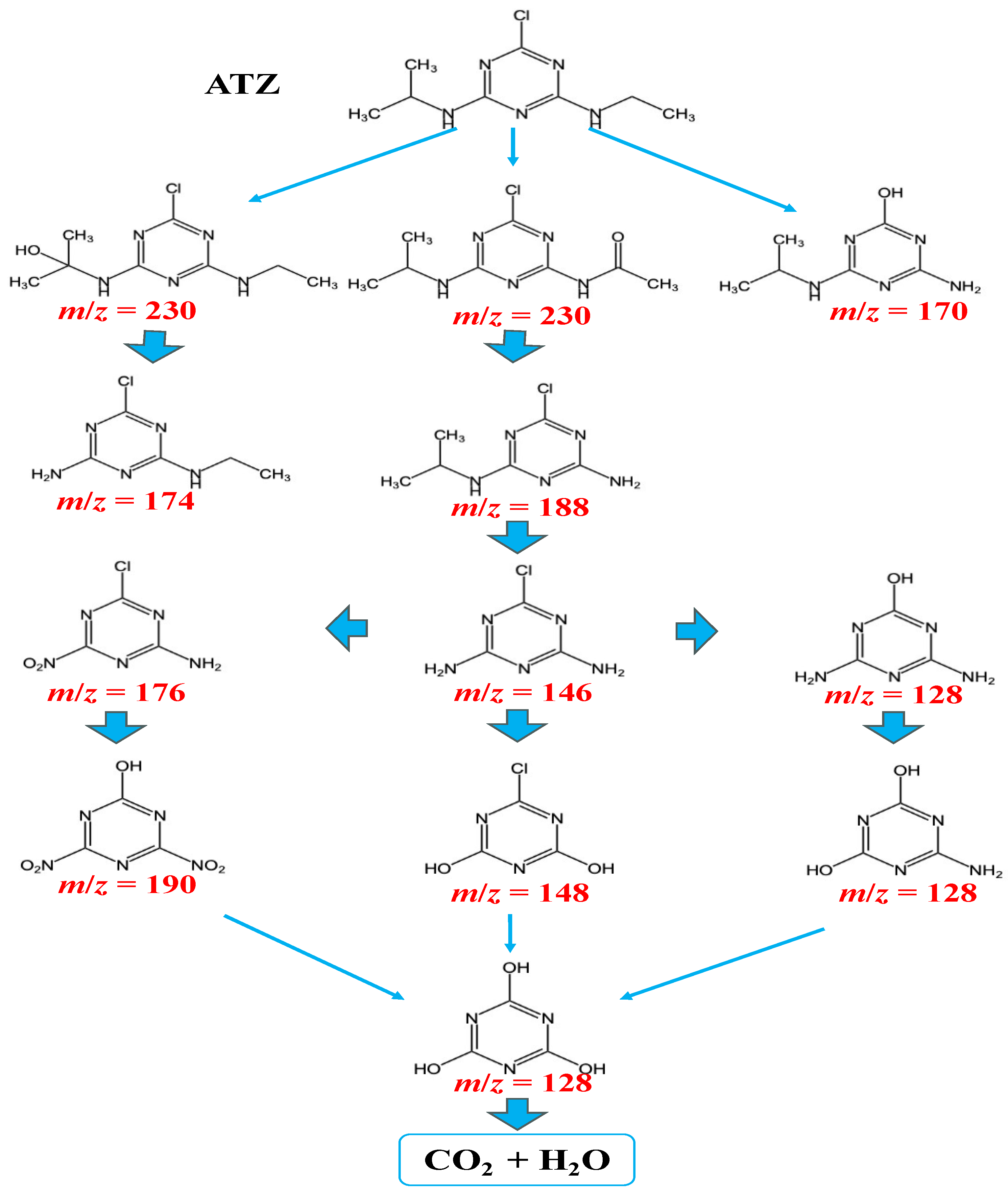 Agronomy 14 00461 g008