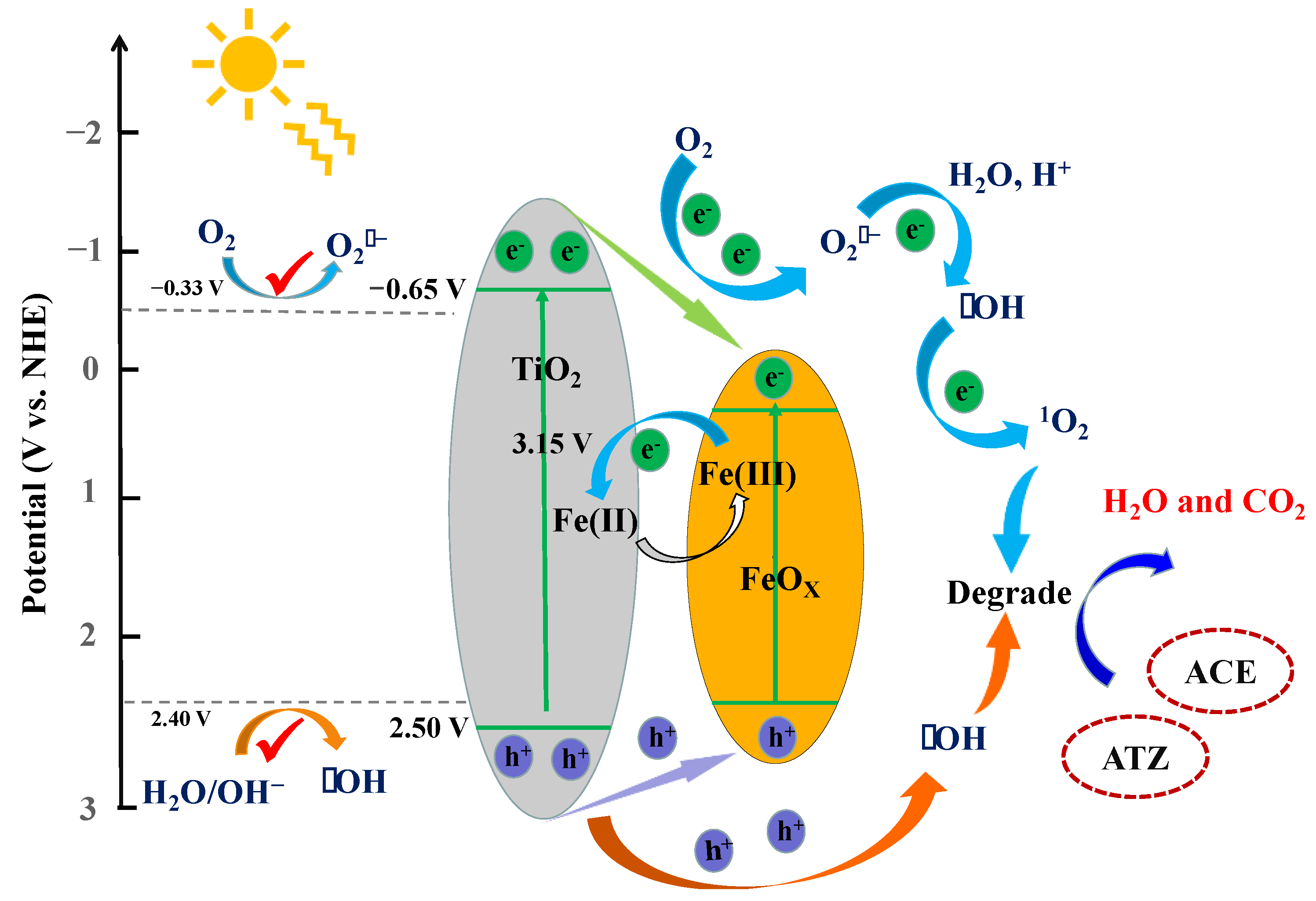 Agronomy 14 00461 g010