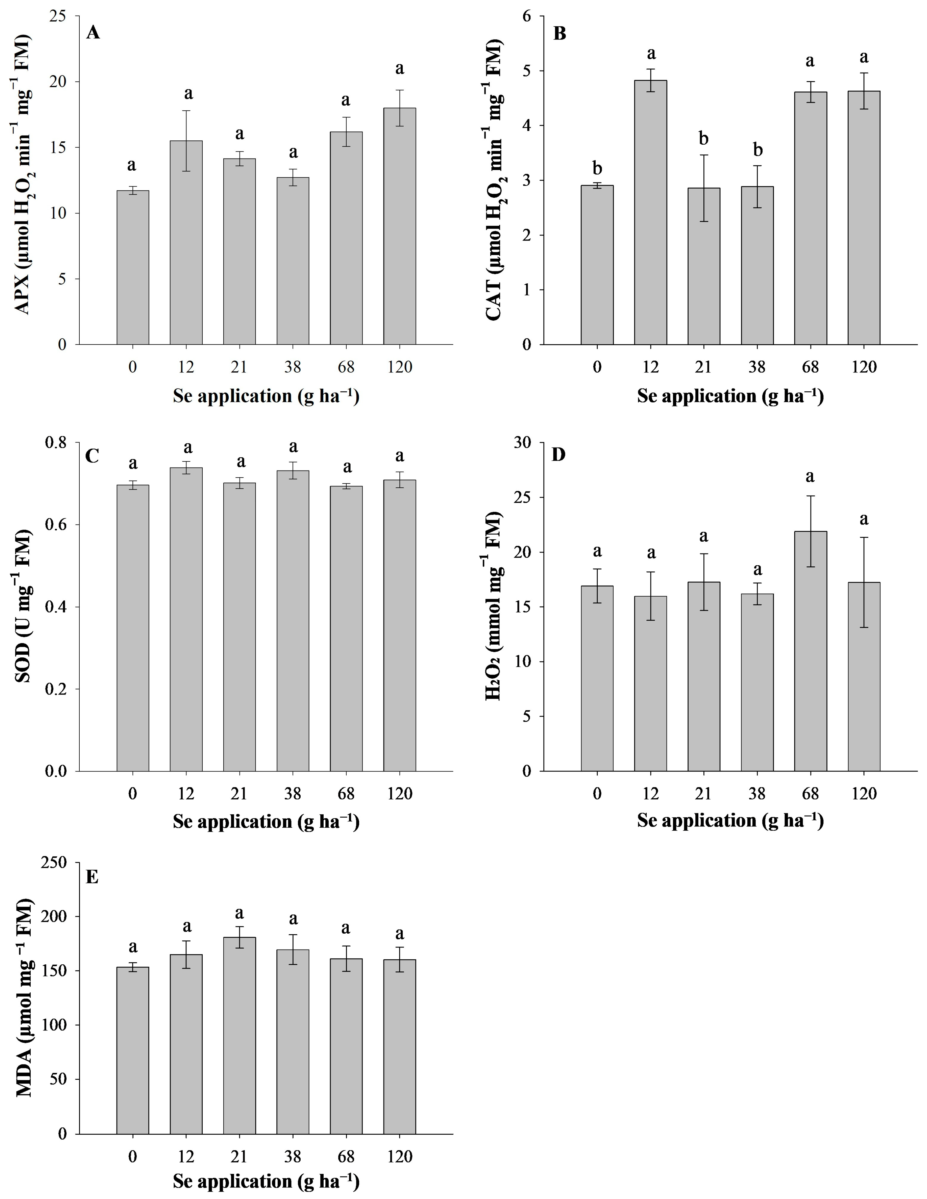 Agronomy 14 00462 g004