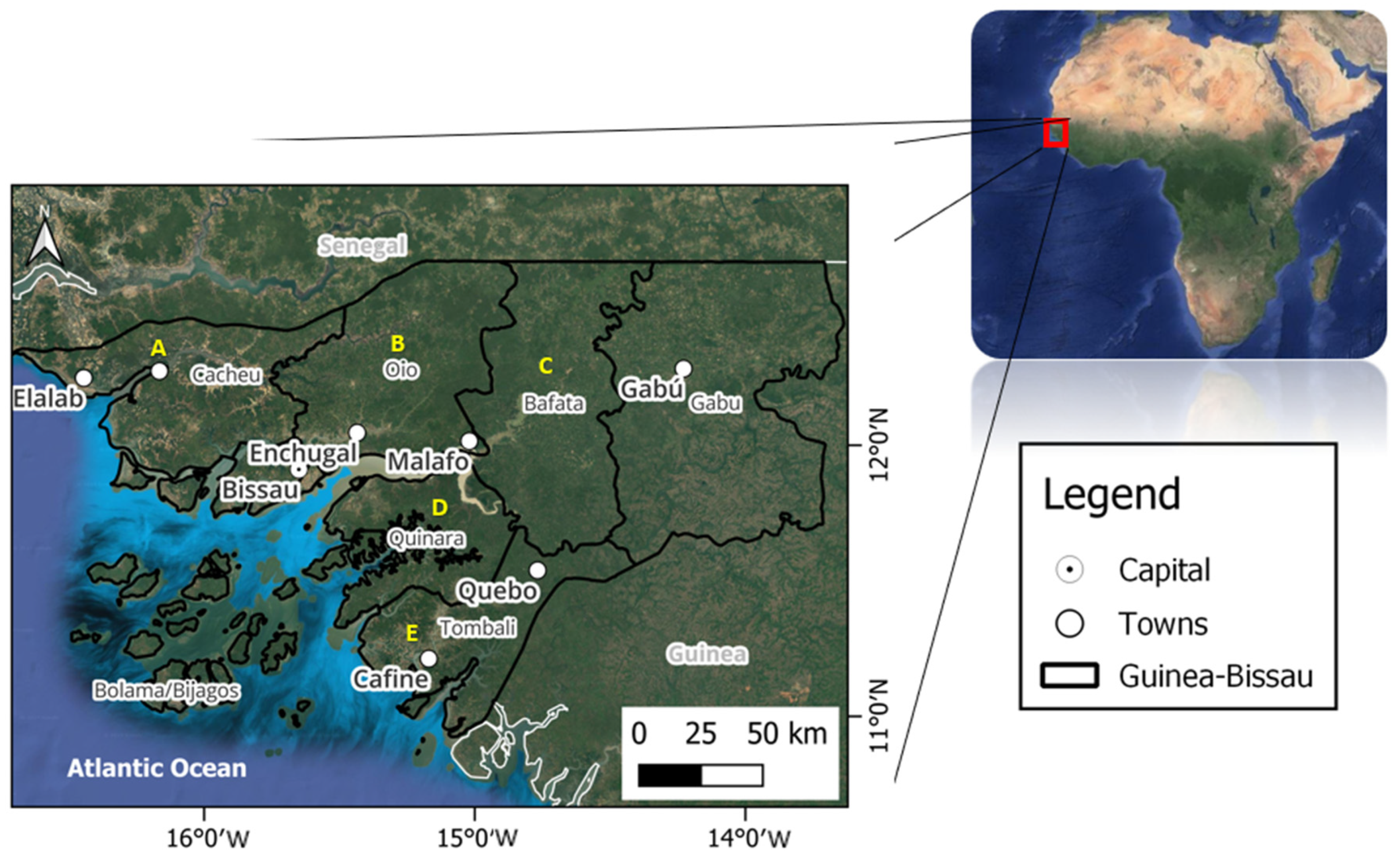 Agronomy 14 00468 g001 Agronomy 14 00468 g001