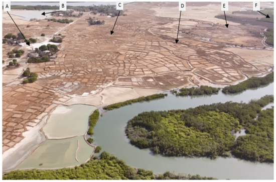 Agronomy 14 00468 g004