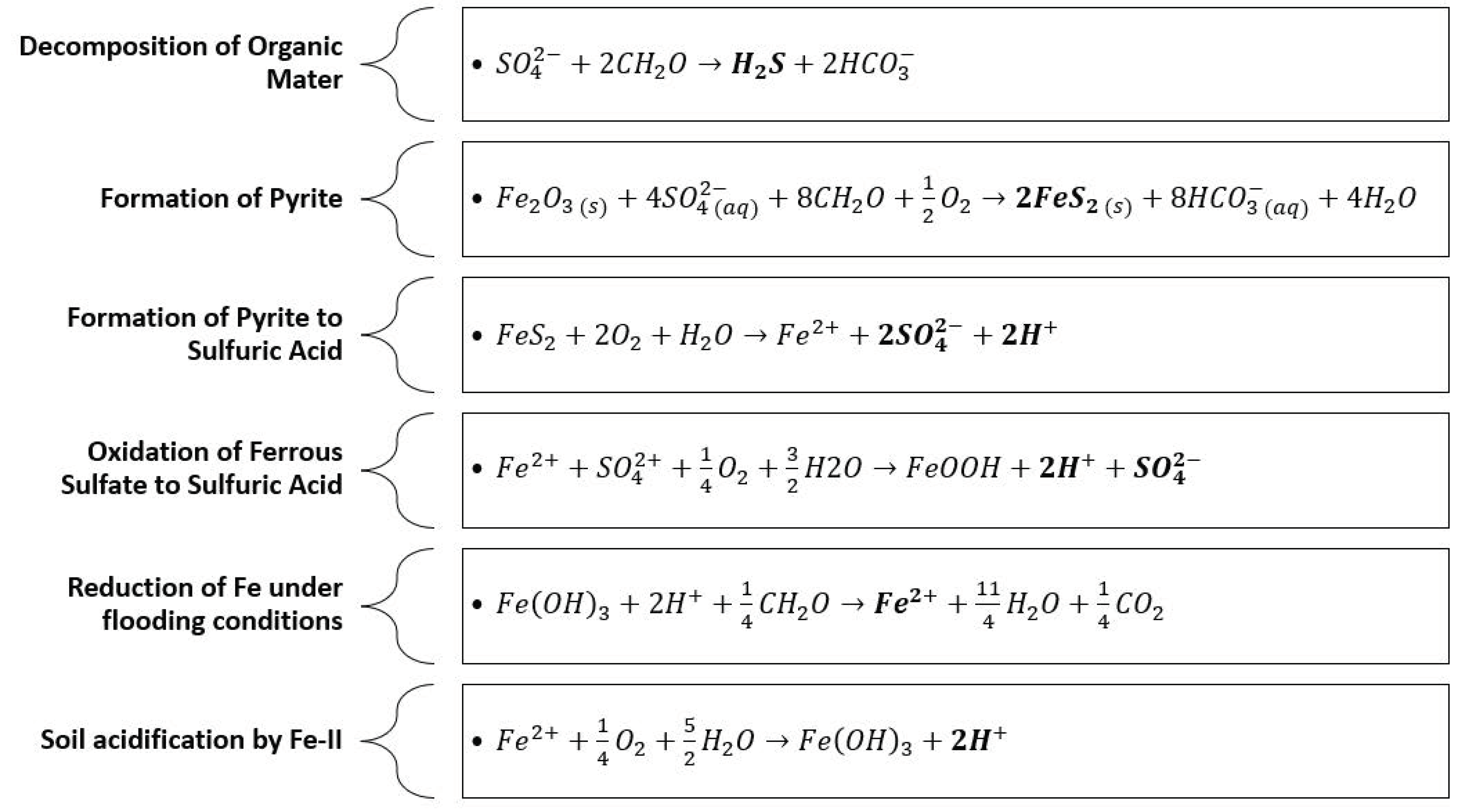 Agronomy 14 00468 g008 Agronomy 14 00468 g008