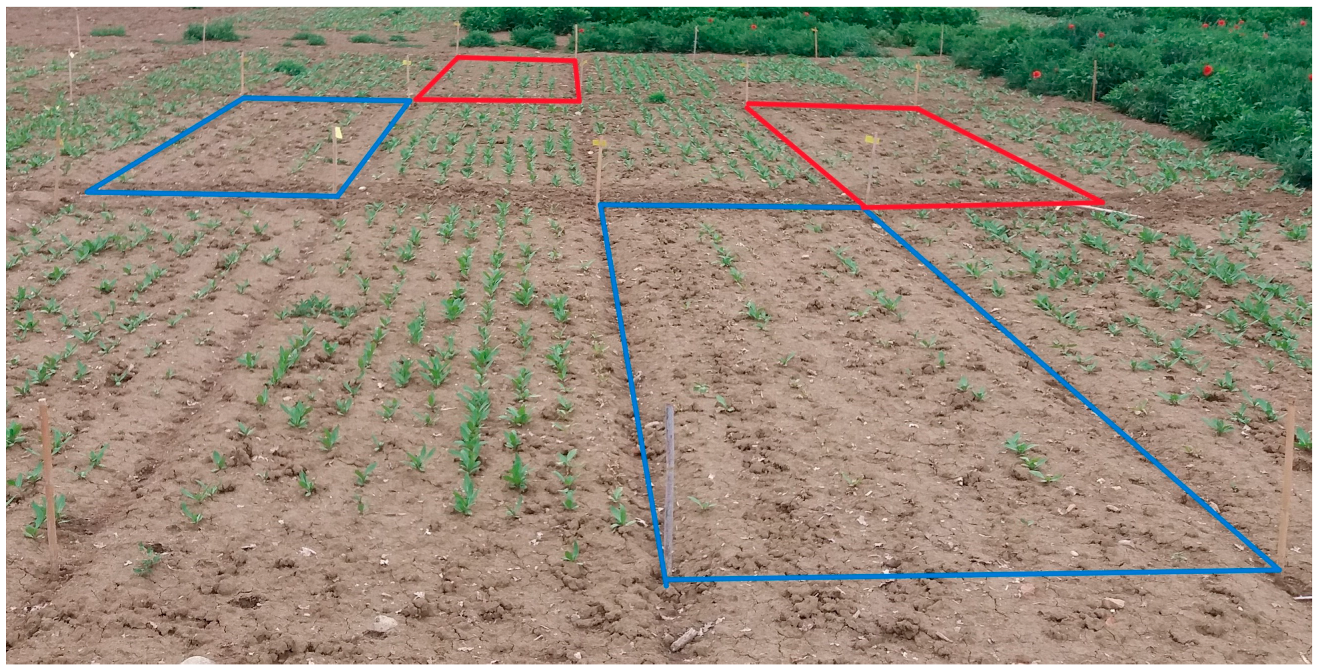 Agronomy 14 00482 g003 Agronomy 14 00482 g003