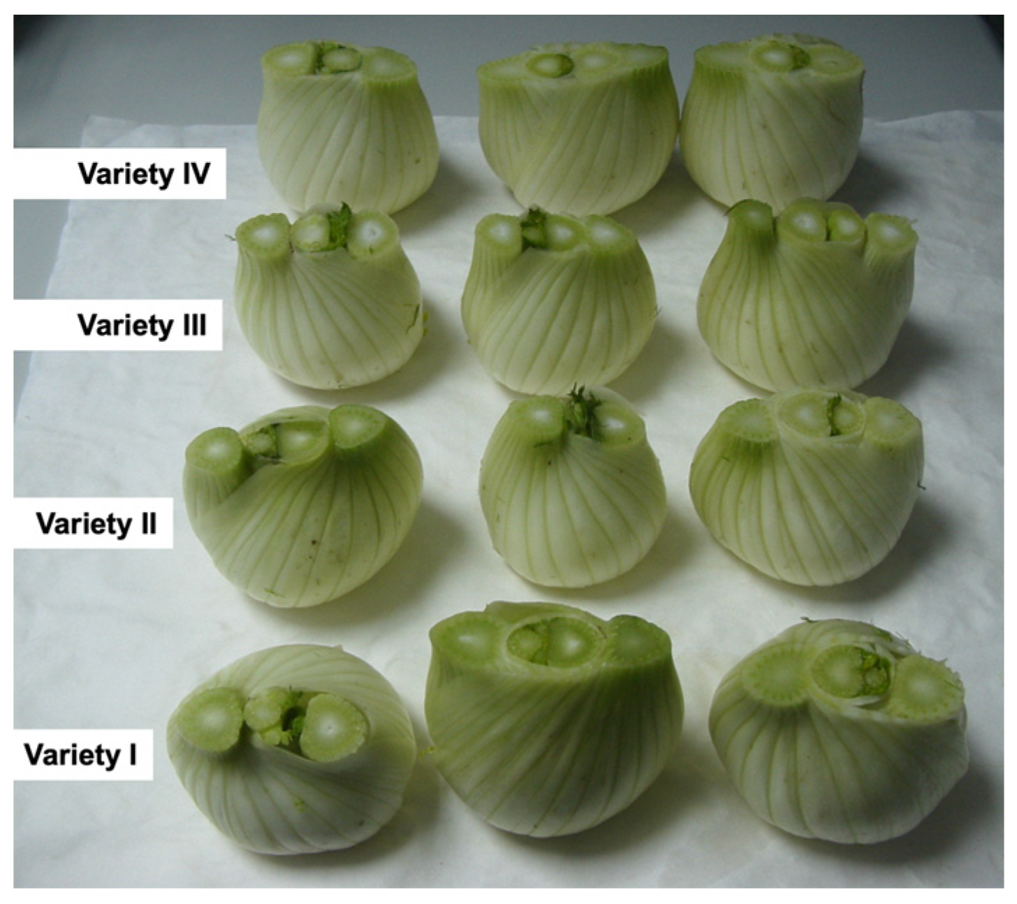 Agronomy 14 00484 g001