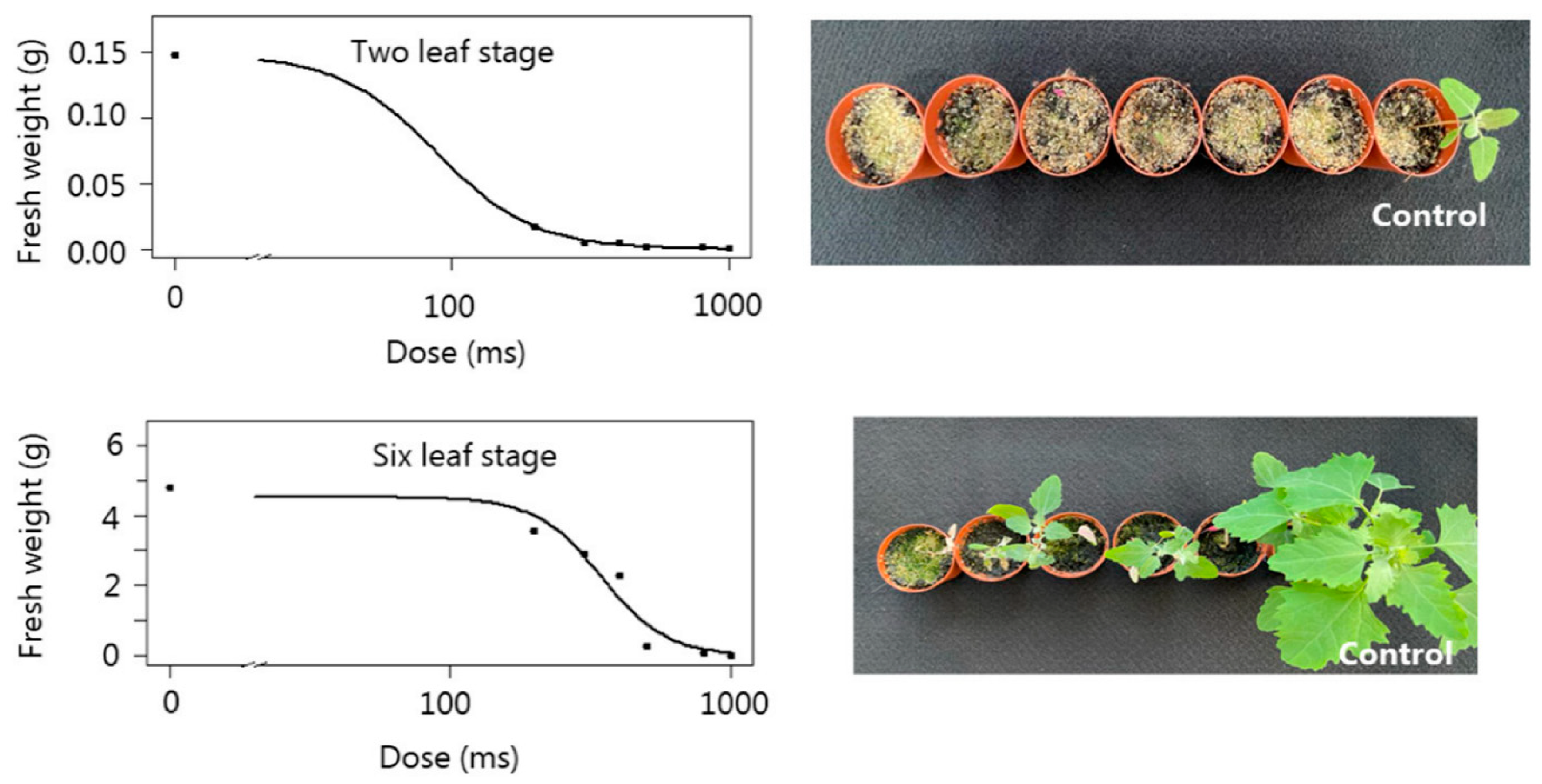 Agronomy 14 00486 g003 Agronomy 14 00486 g003
