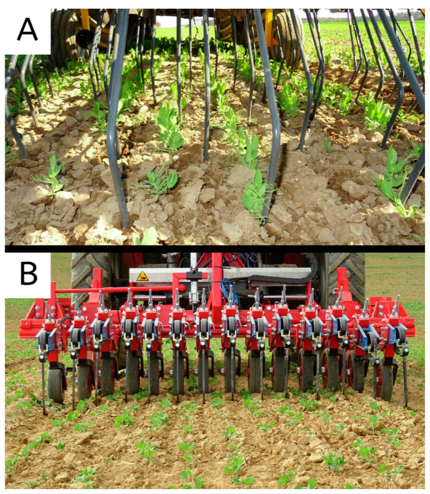 Agronomy 14 00486 g005 Agronomy 14 00486 g005