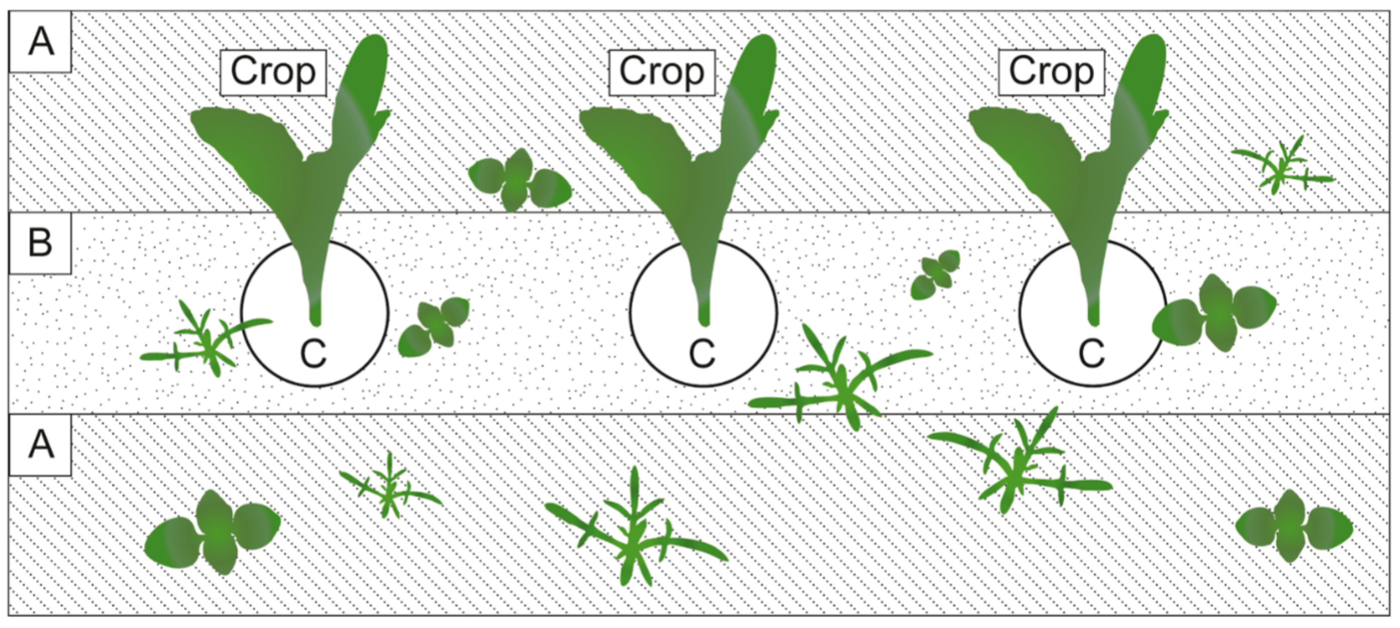 Agronomy 14 00486 g006 Agronomy 14 00486 g006
