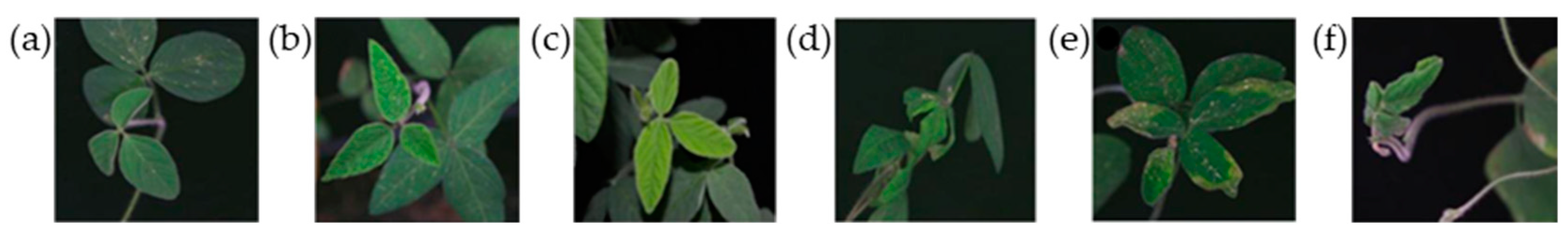 Agronomy 14 00489 g001 Agronomy 14 00489 g001