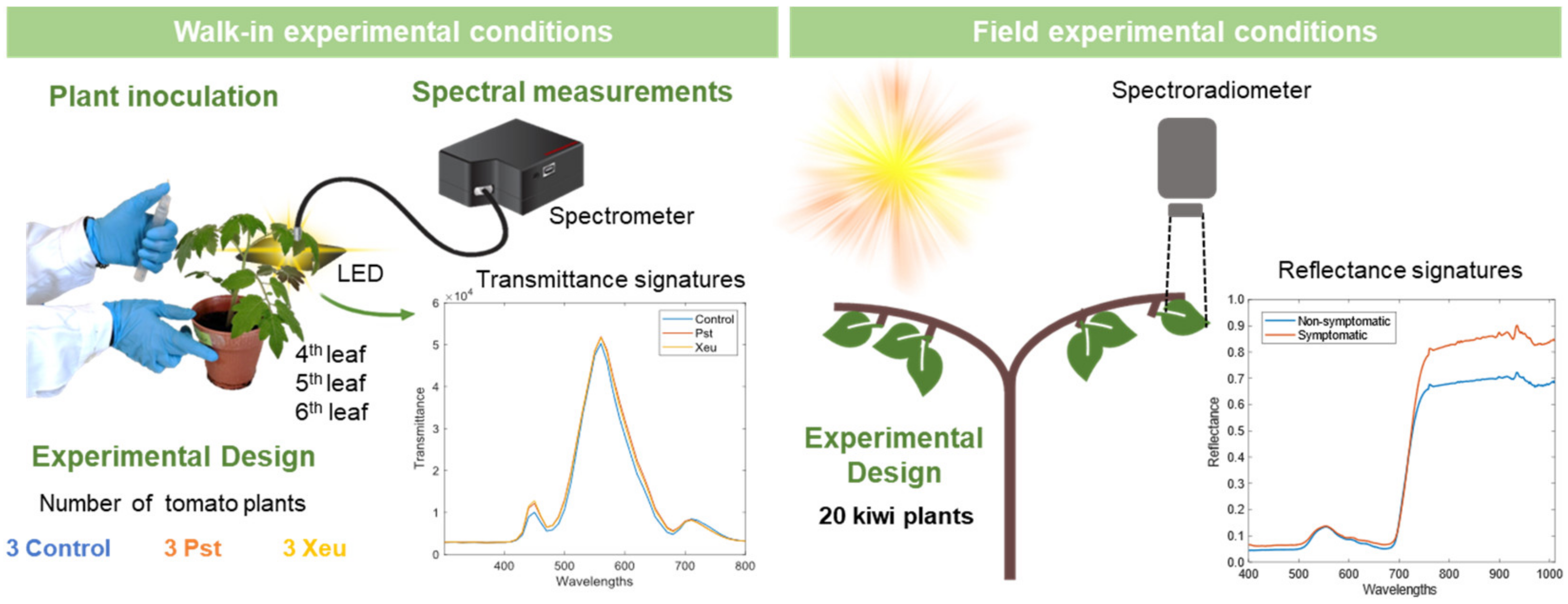 Agronomy 14 00493 g001