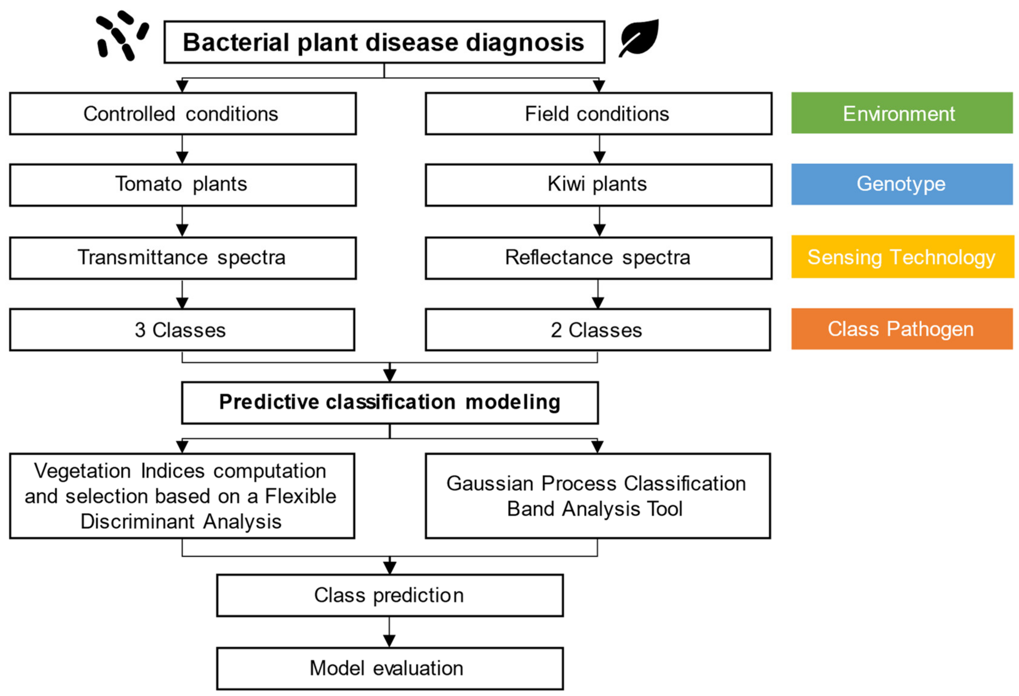 Agronomy 14 00493 g002