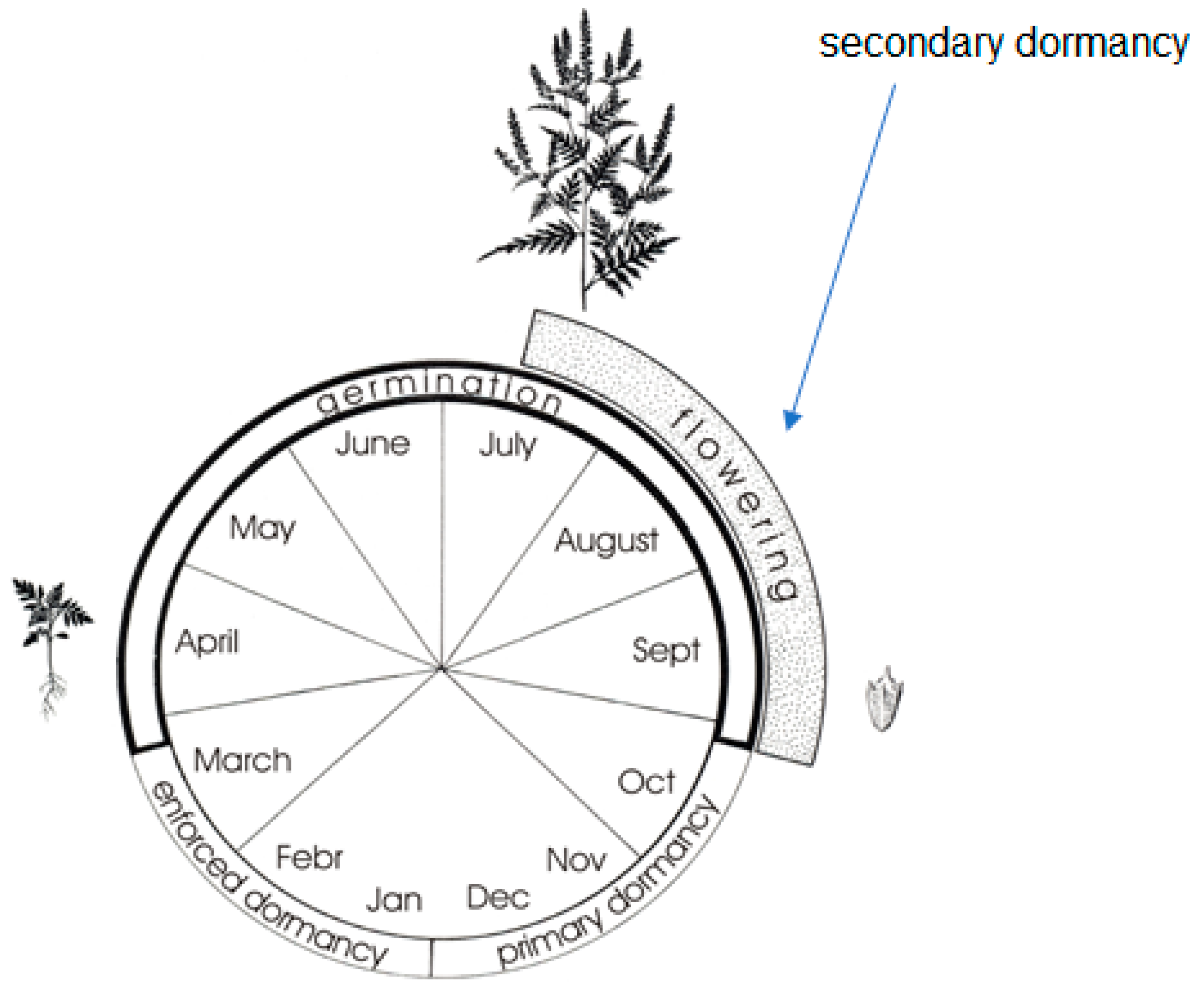 Agronomy 14 00497 g003 Agronomy 14 00497 g003