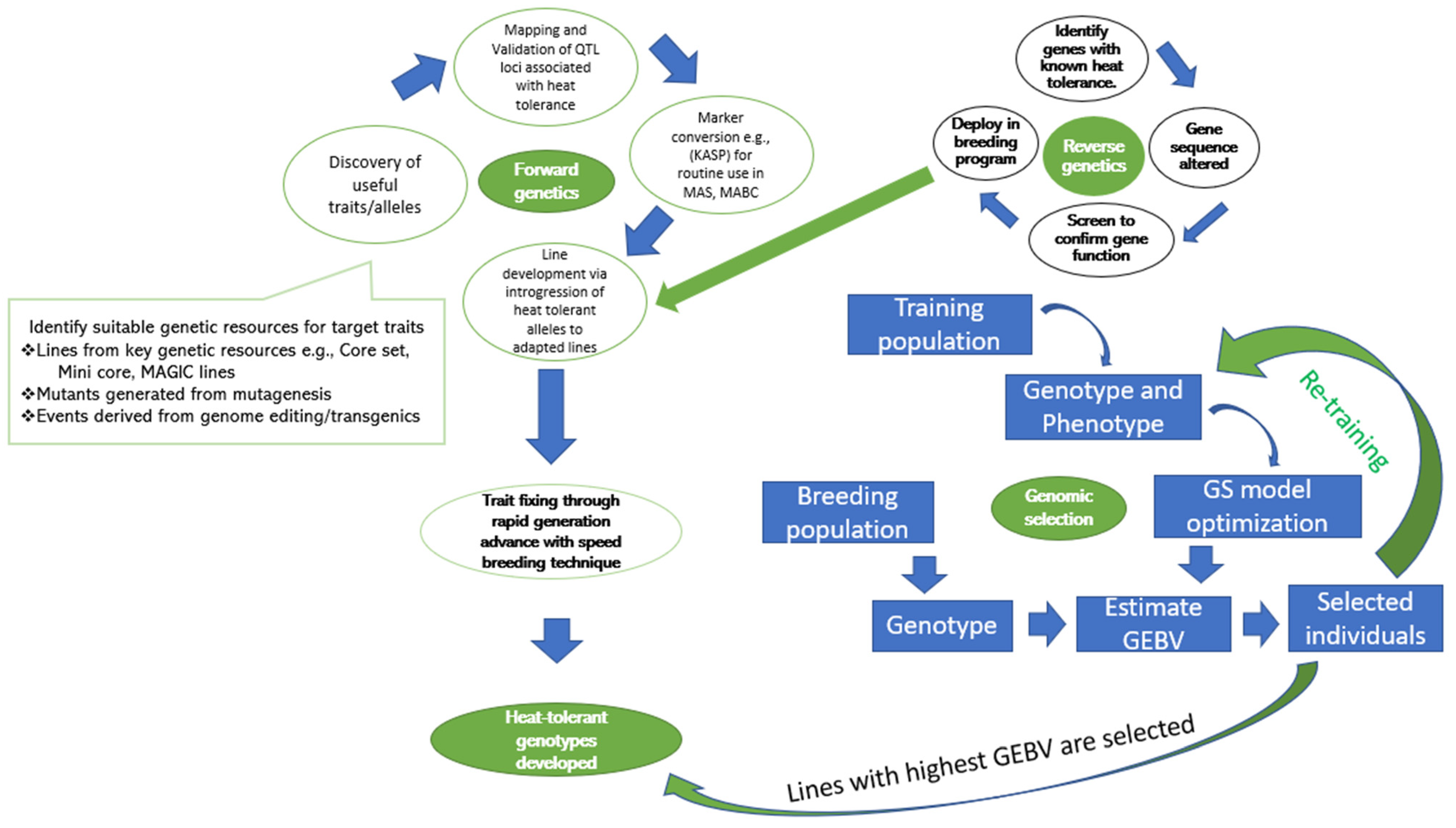 Agronomy 14 00513 g003