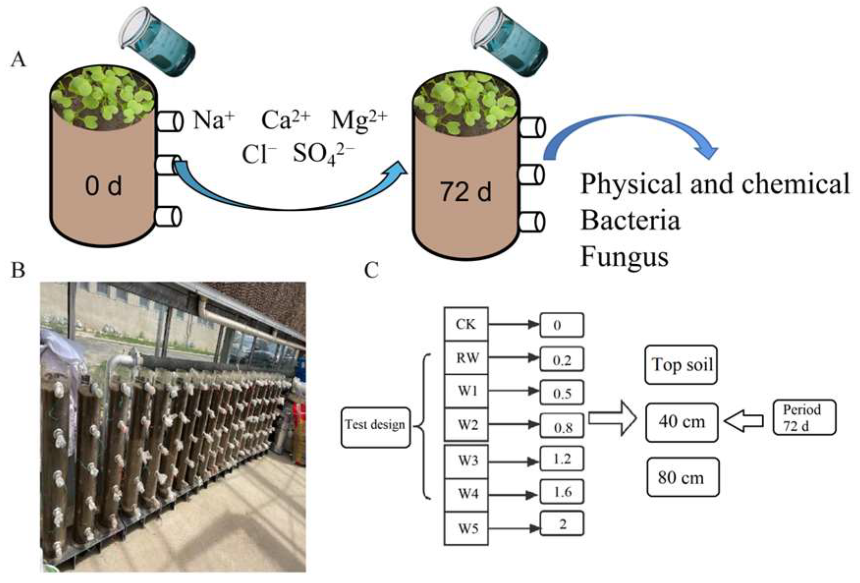 Agronomy 14 00514 g001