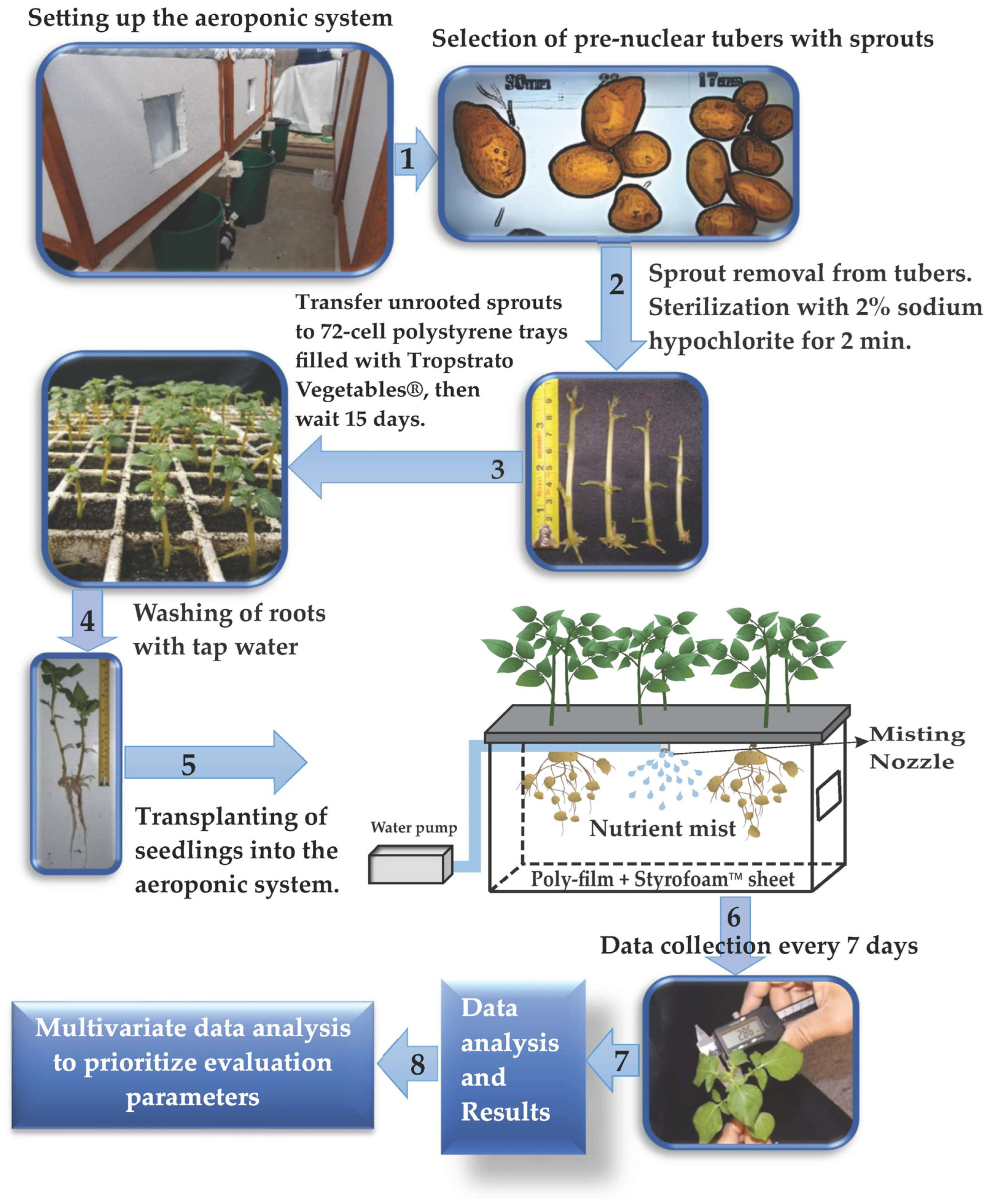 Agronomy 14 00517 g003