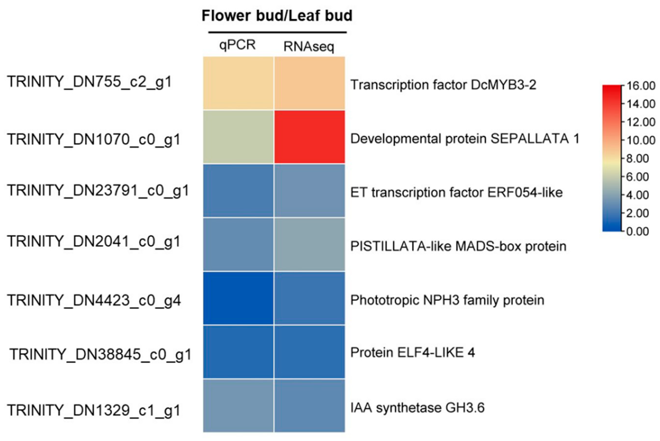 Agronomy 14 00519 g004