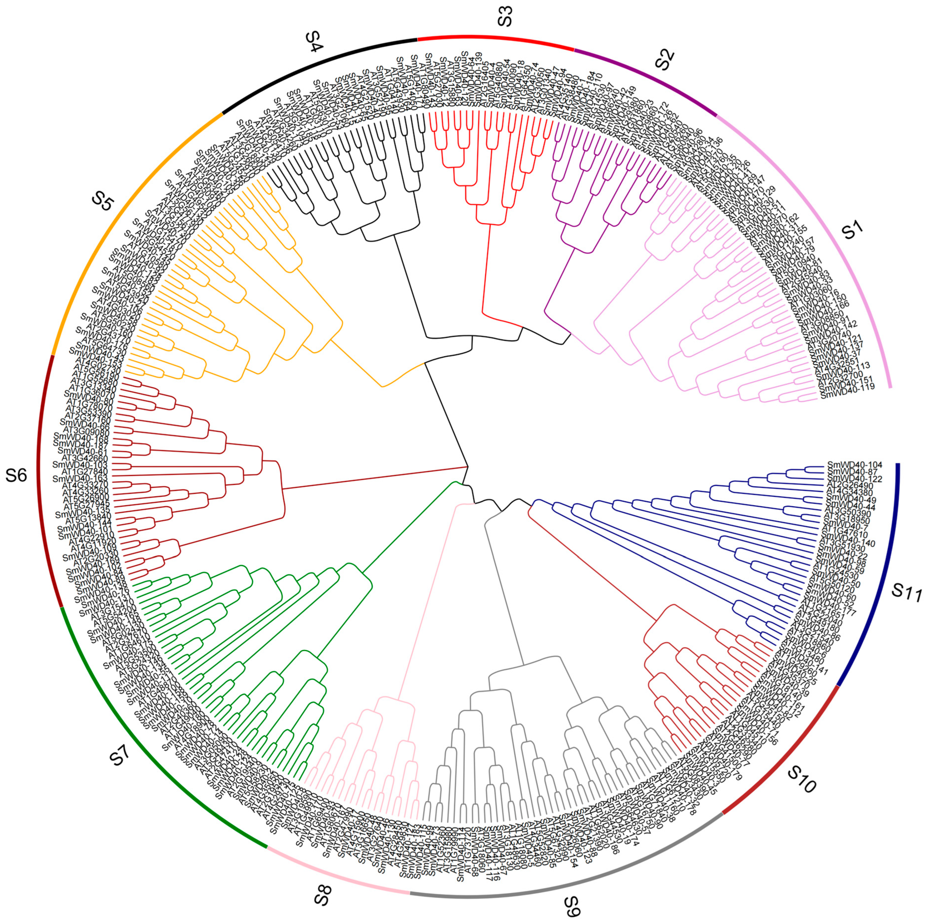 Agronomy 14 00521 g002
