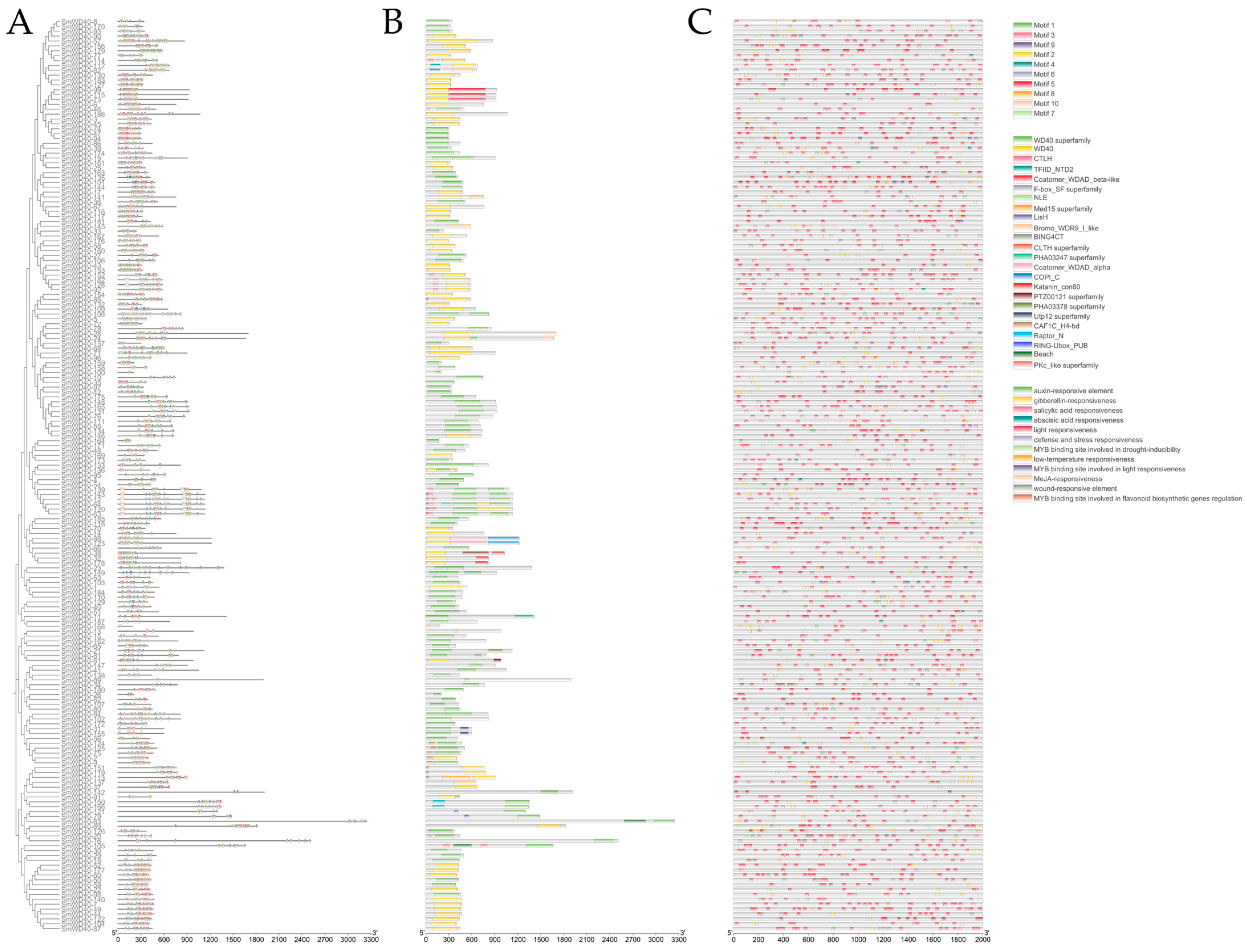 Agronomy 14 00521 g003